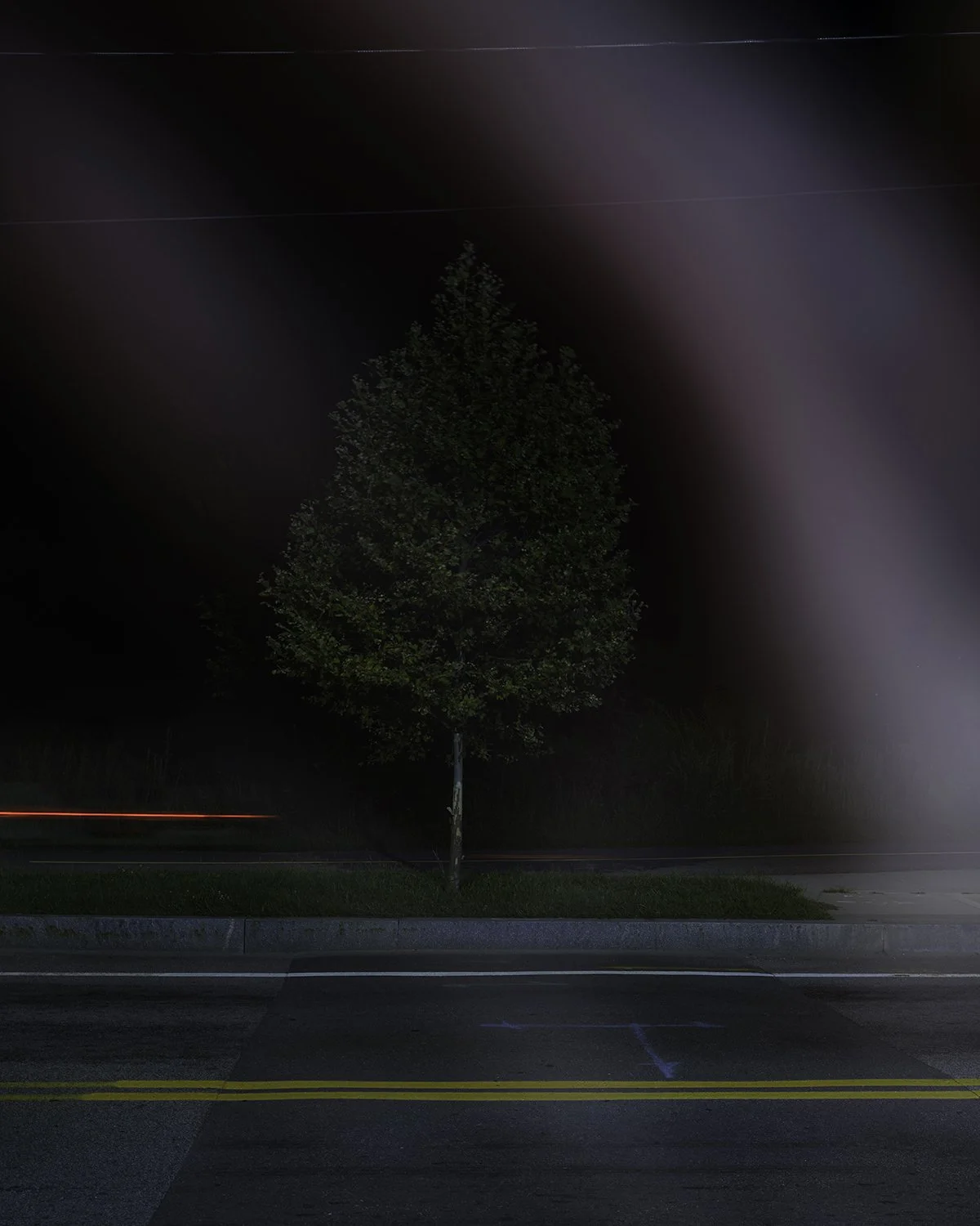 20250916 DSCF6008 1200 x 1500 crop.jpg