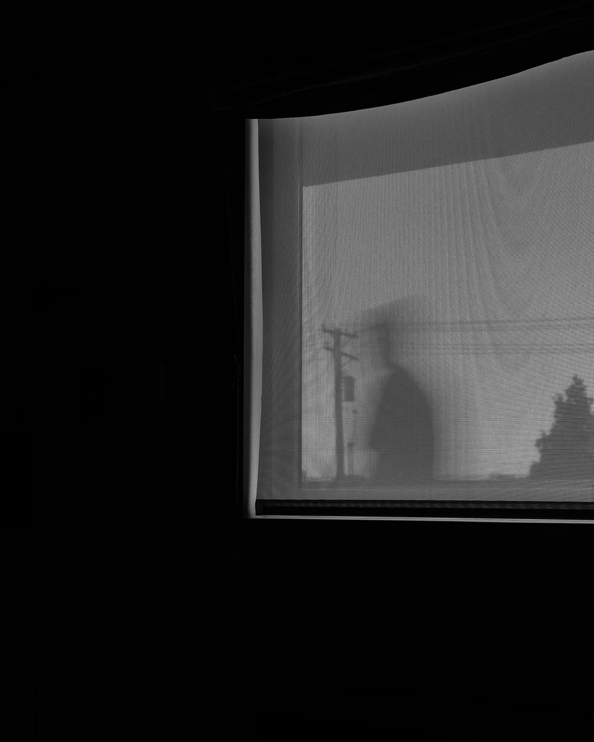 20261017 DSCF9381 bw 1200 x 1500.jpg