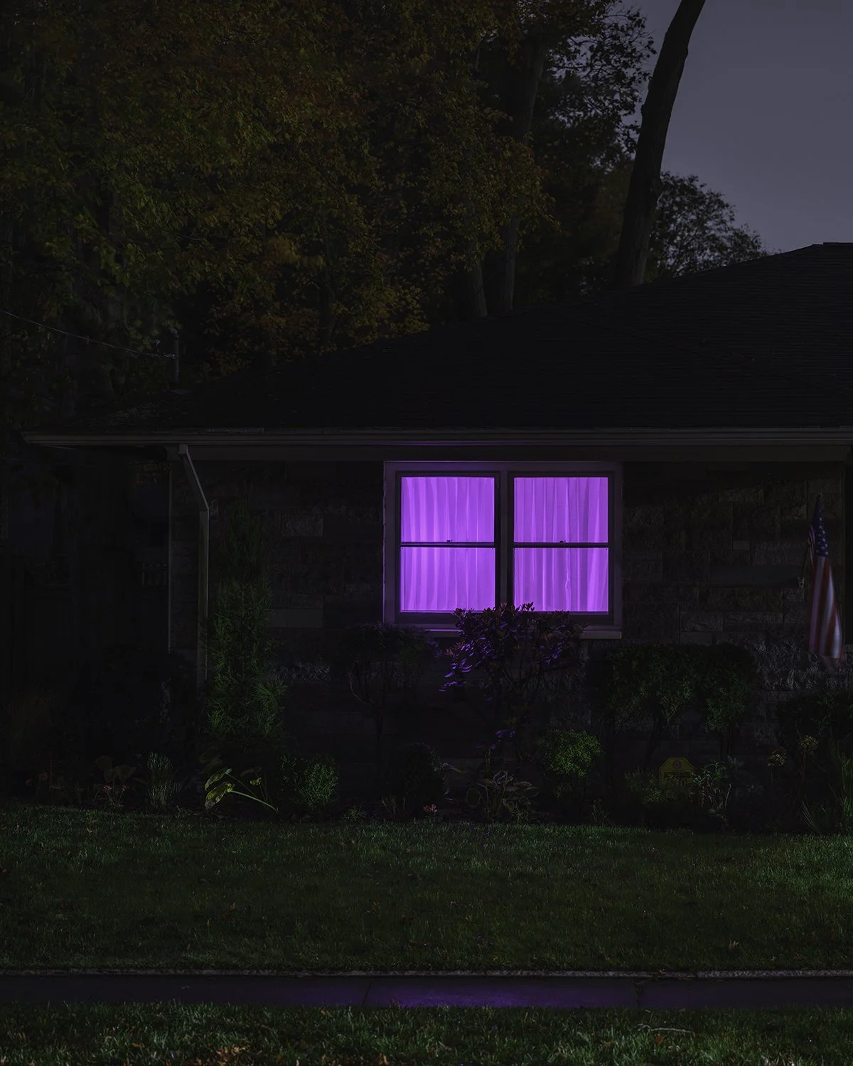 20251030 DSCF0790 1200 x 1500.jpg