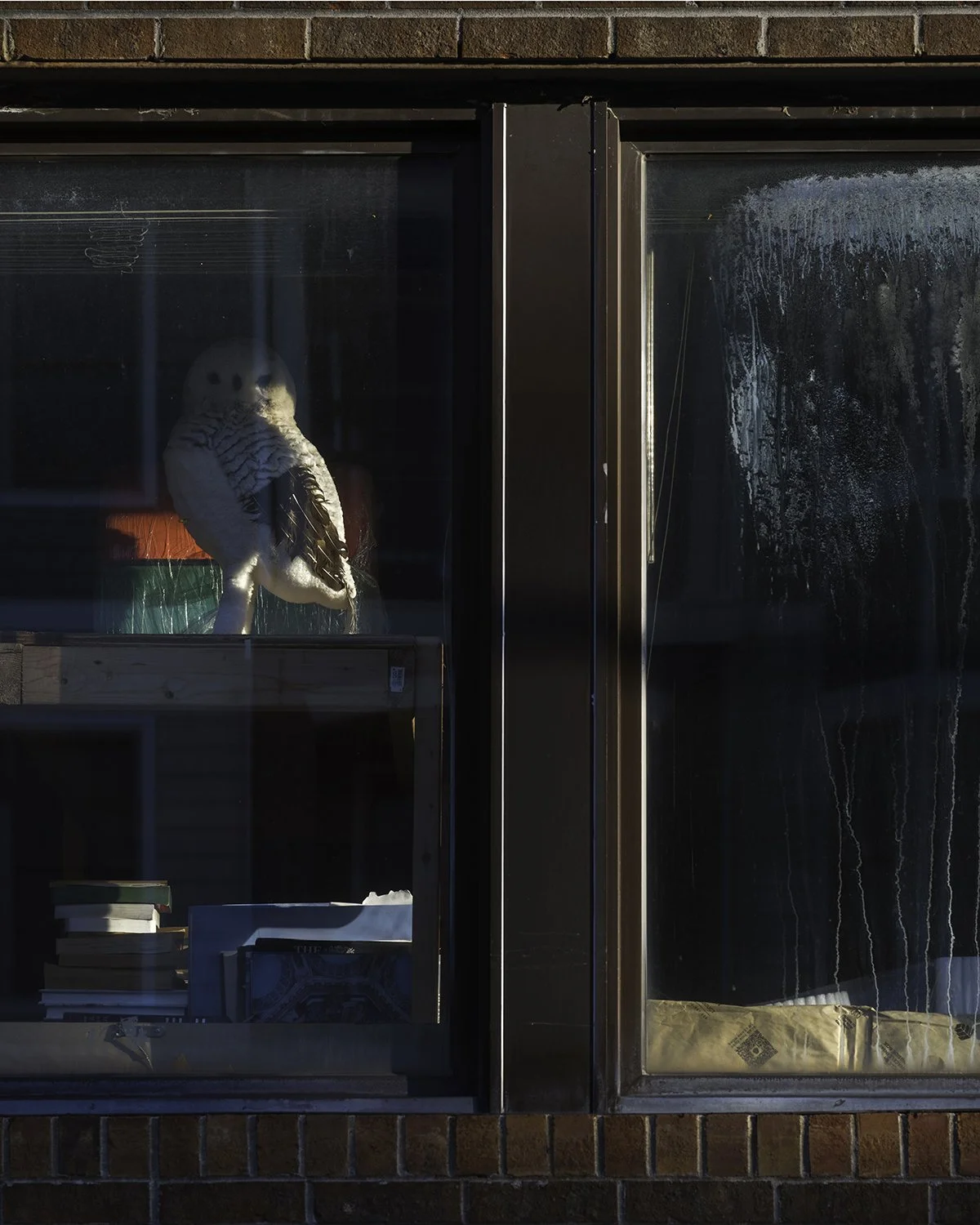 20251005 DSCF7084 1200 x 1500 crop.jpg