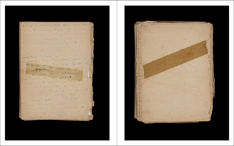 Pages Diary Of Roger Francois 03.jpg