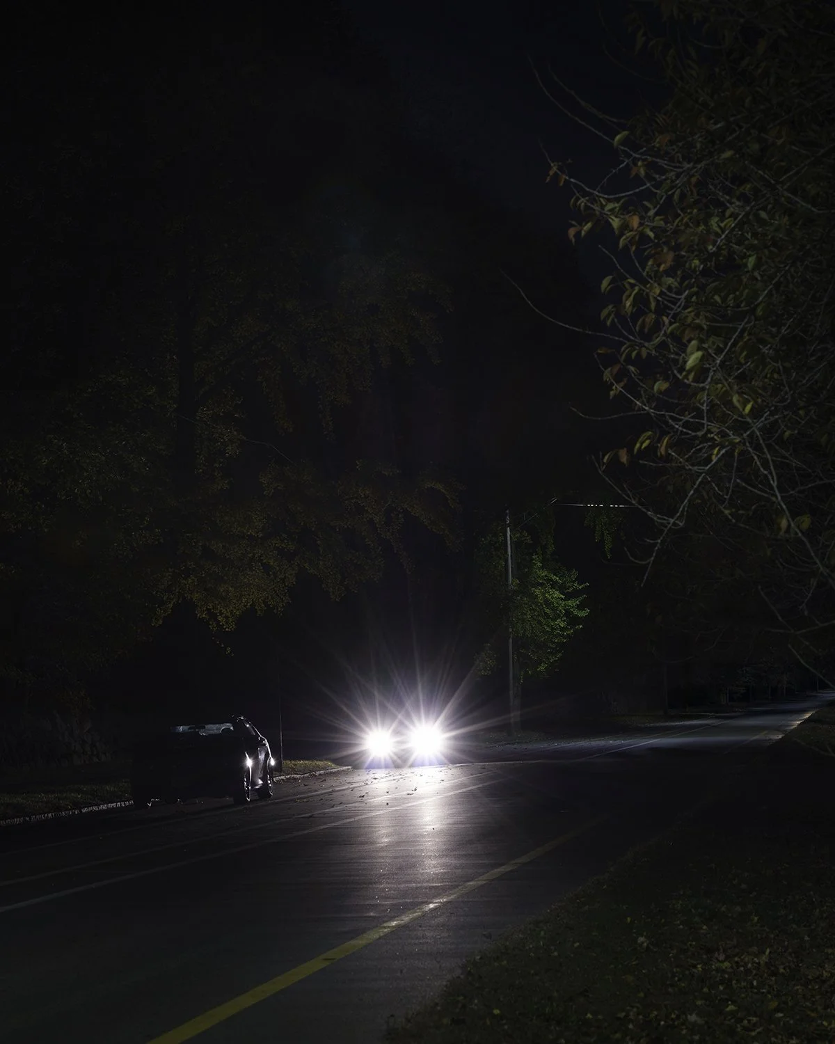 20251106 DSCF1340 2150 x 1500.jpg