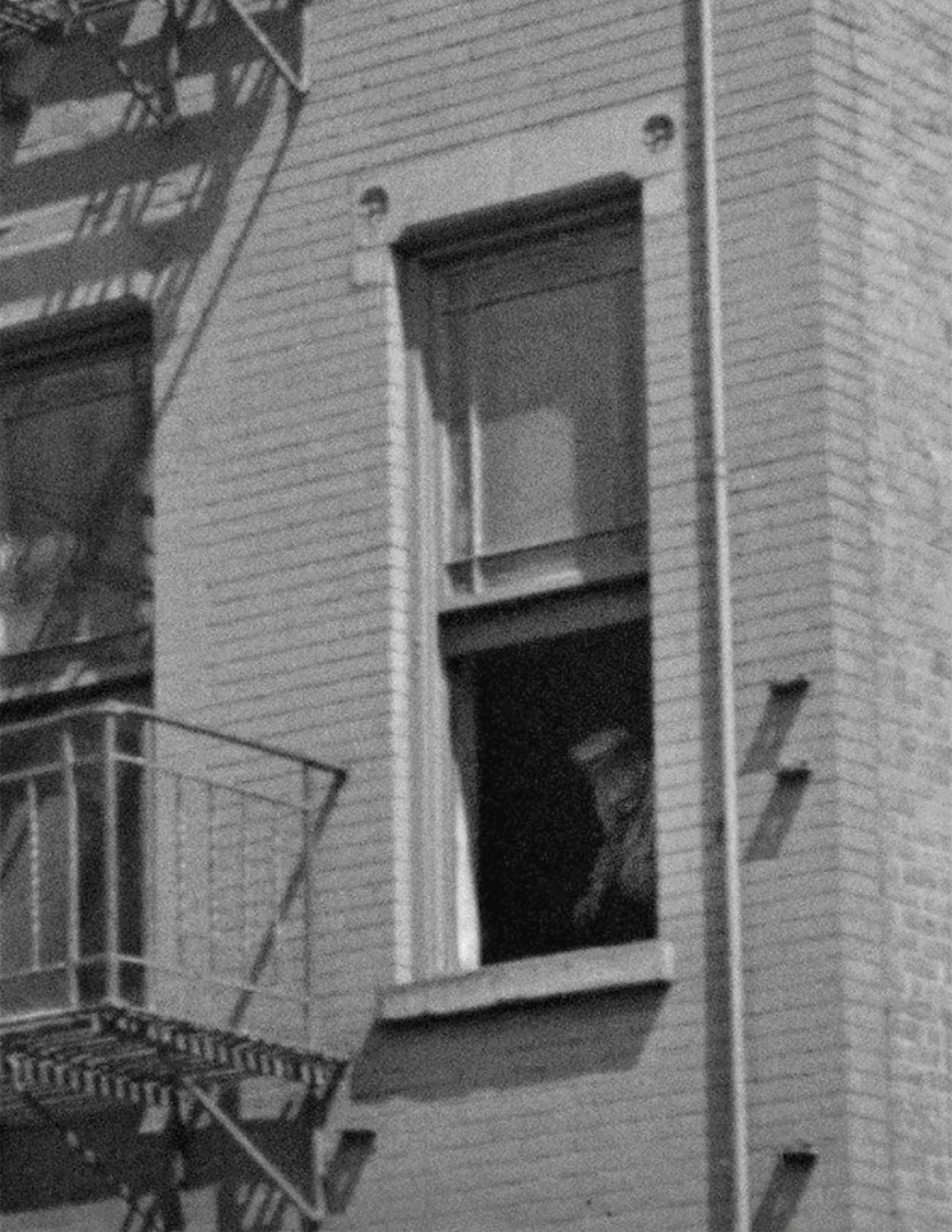23 Cranberry Street Brooklyn 04 edit tighter crop.jpg
