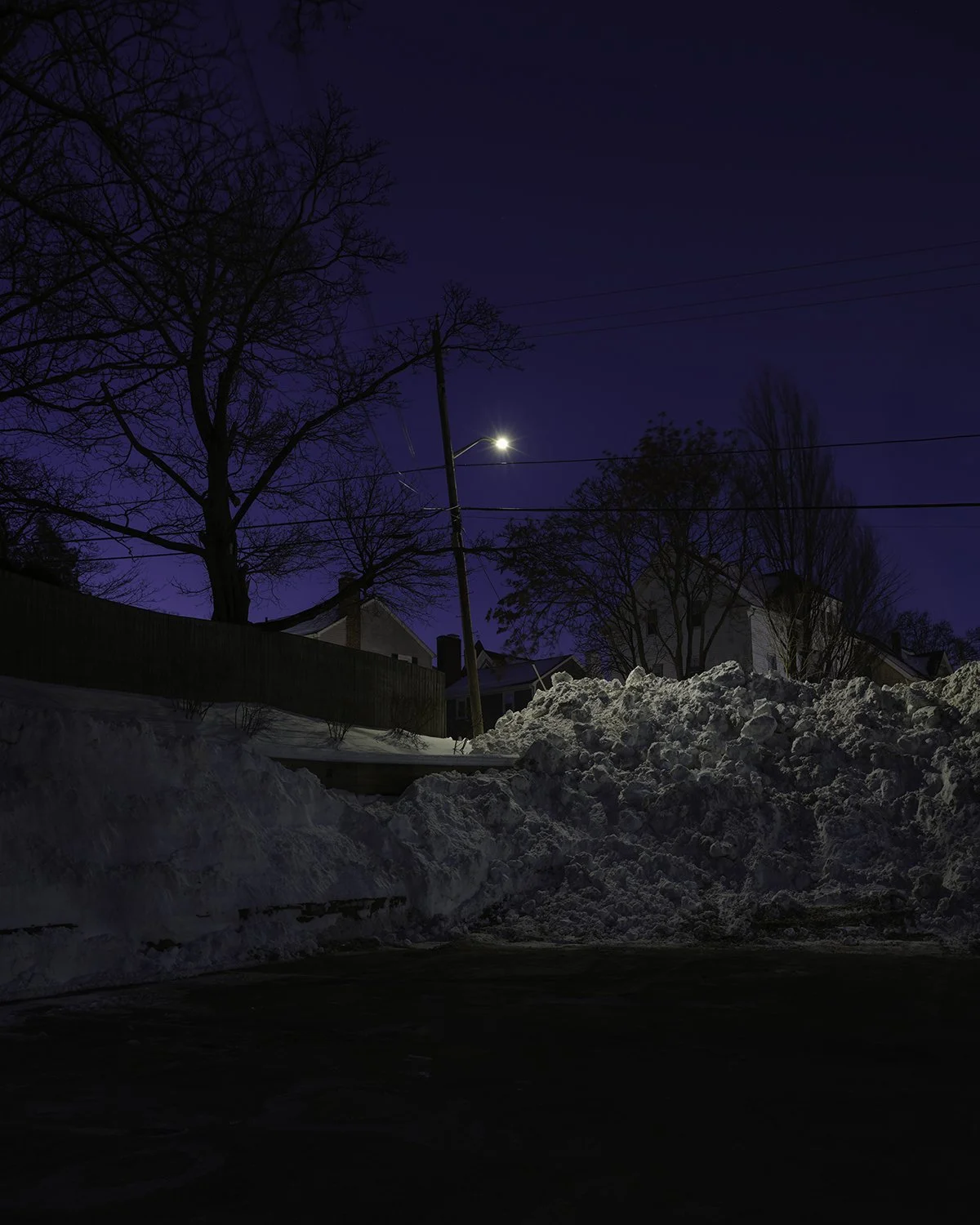 20260130 DSCF3082 1200 x 1500.jpg