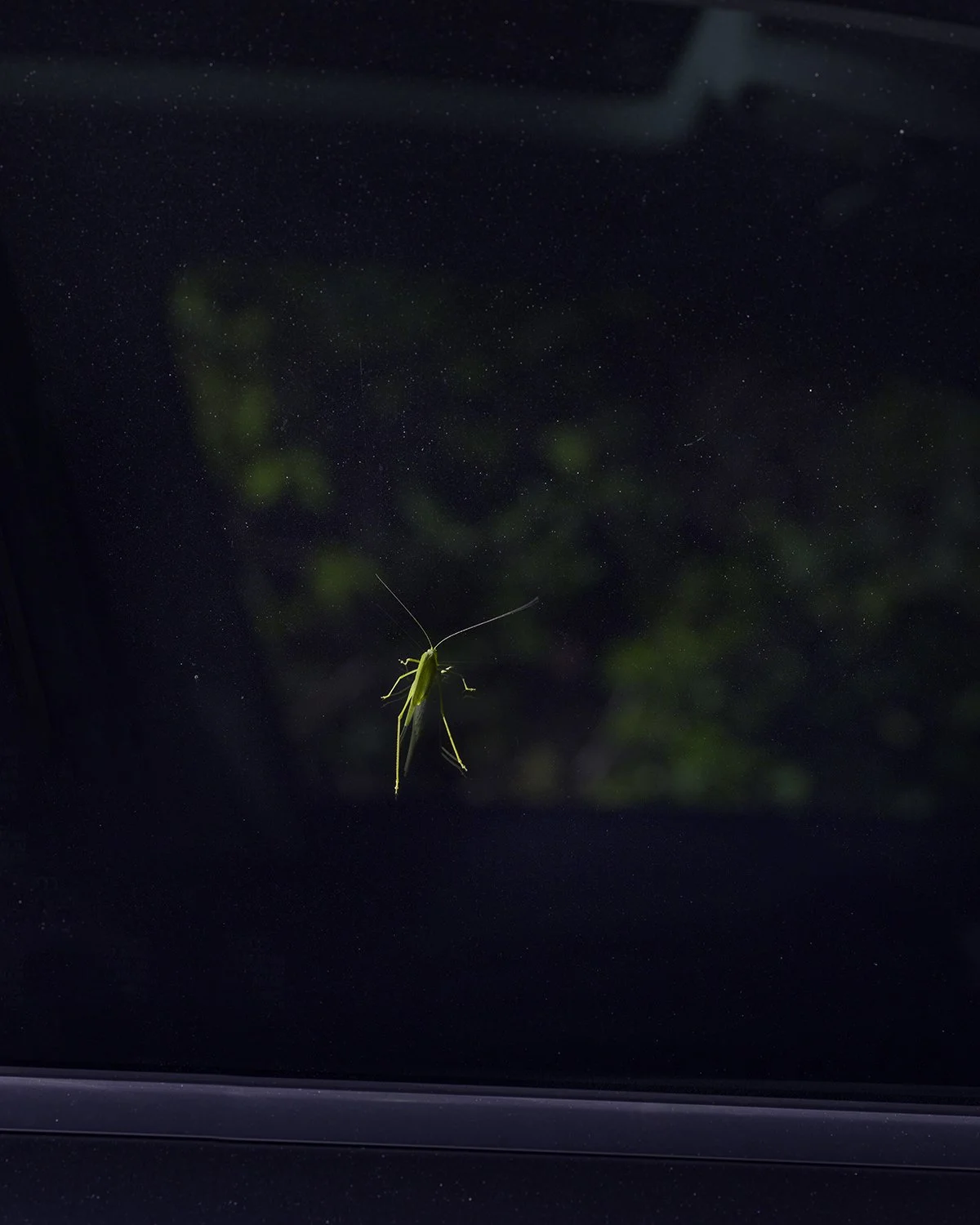 20250930 DSCF6671 1200 x 1500 crop.jpg