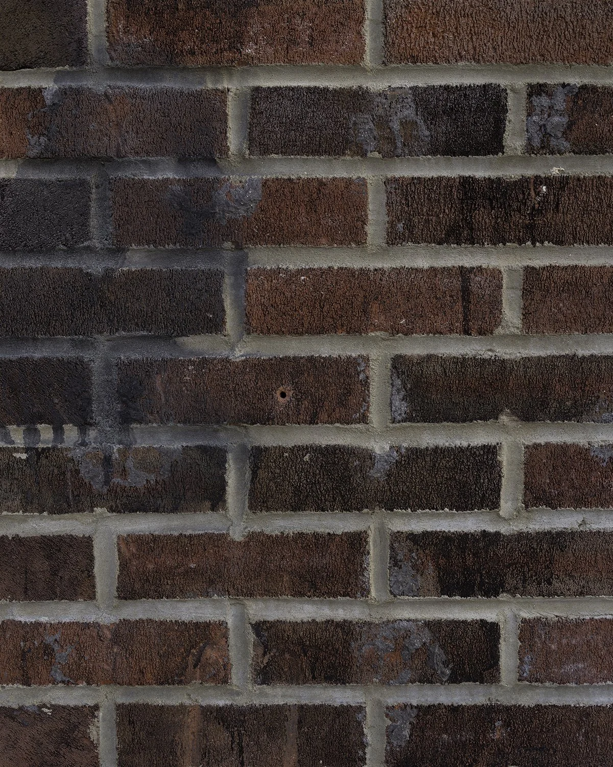 20250612 DSCF2729 1200 x 1500 crop.jpg