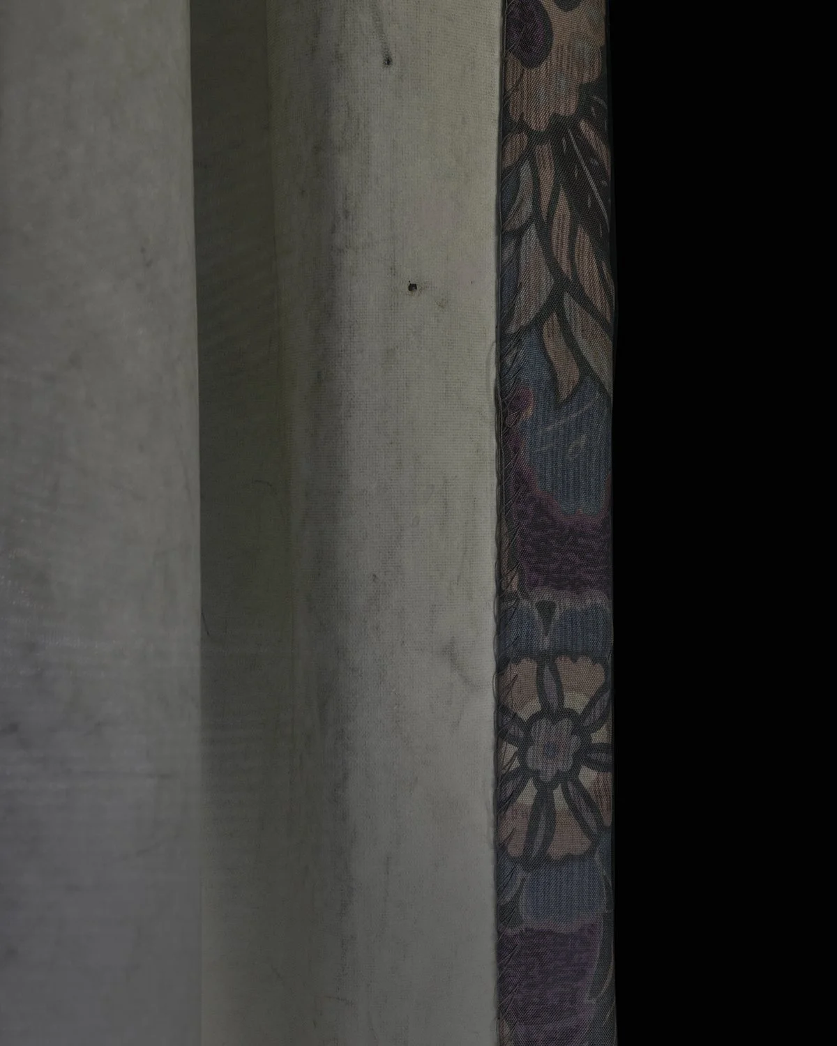 20251119 DSCF2152 tight 1200 x 1500.jpg