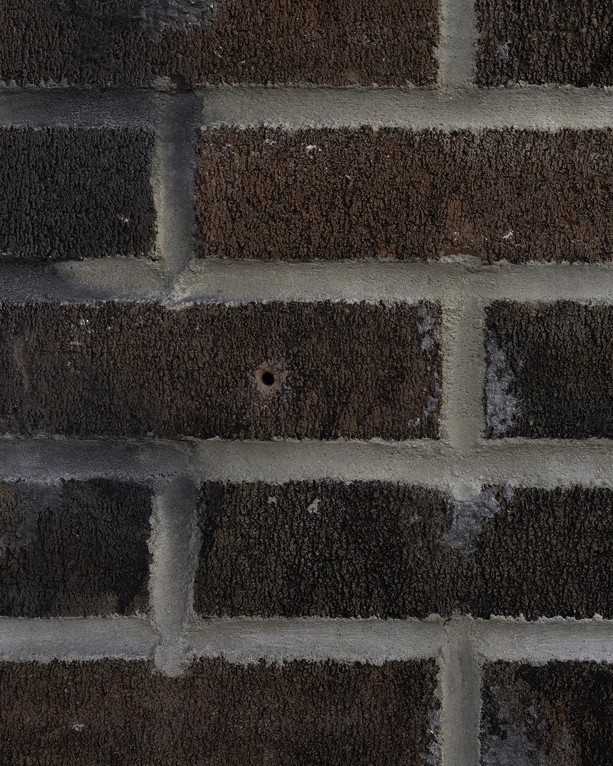 20250612 DSCF2759 1200 x 1500 crop.jpg