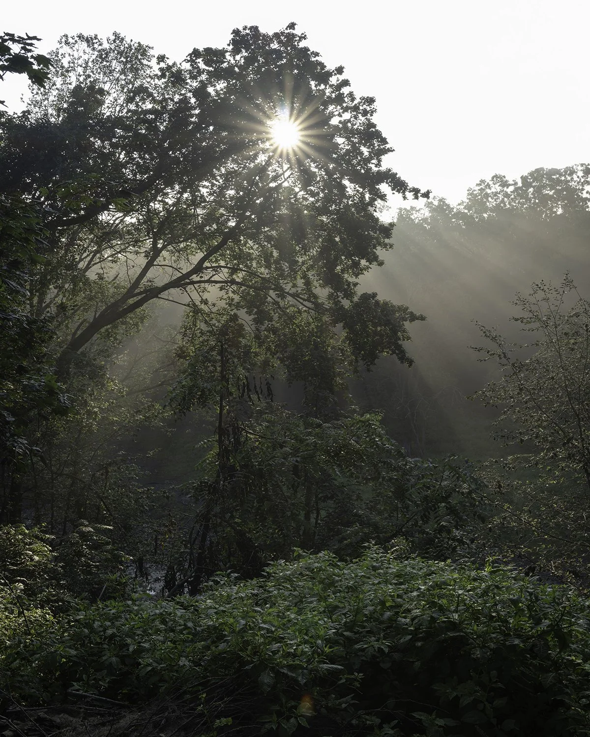 20250728 DSCF4360 1200 x 1500 crop.jpg