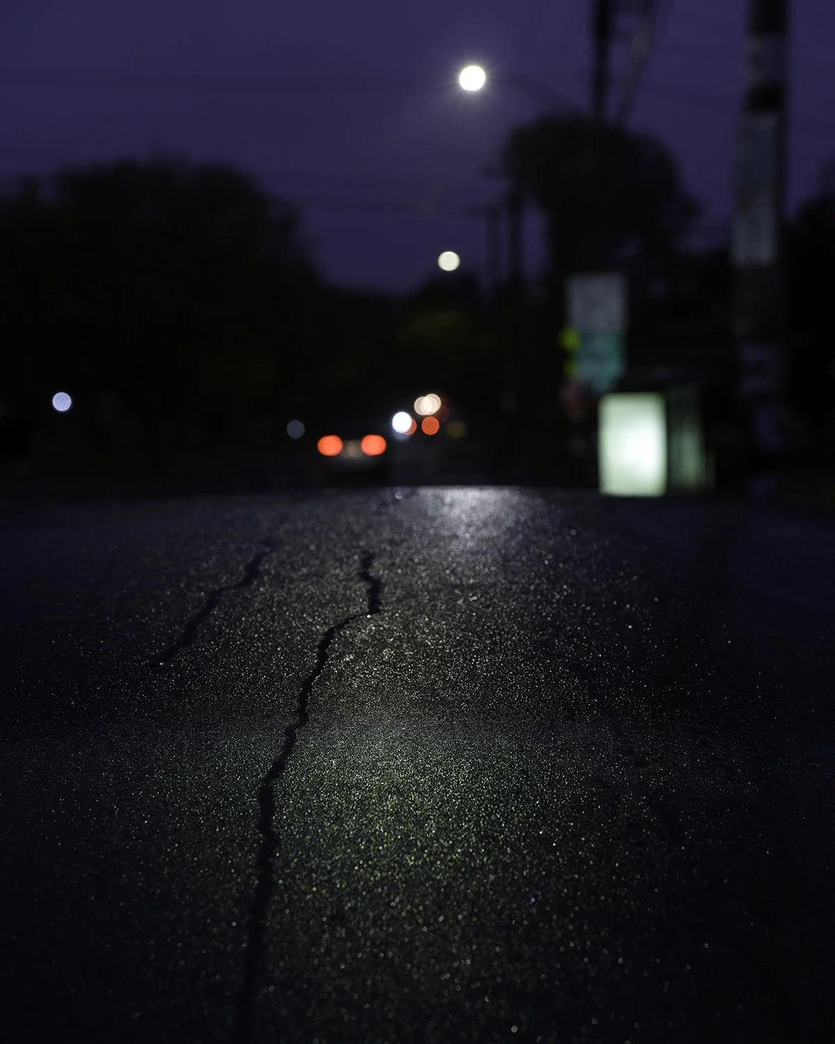 20251030 DSCF0851 1200 x 1500.jpg