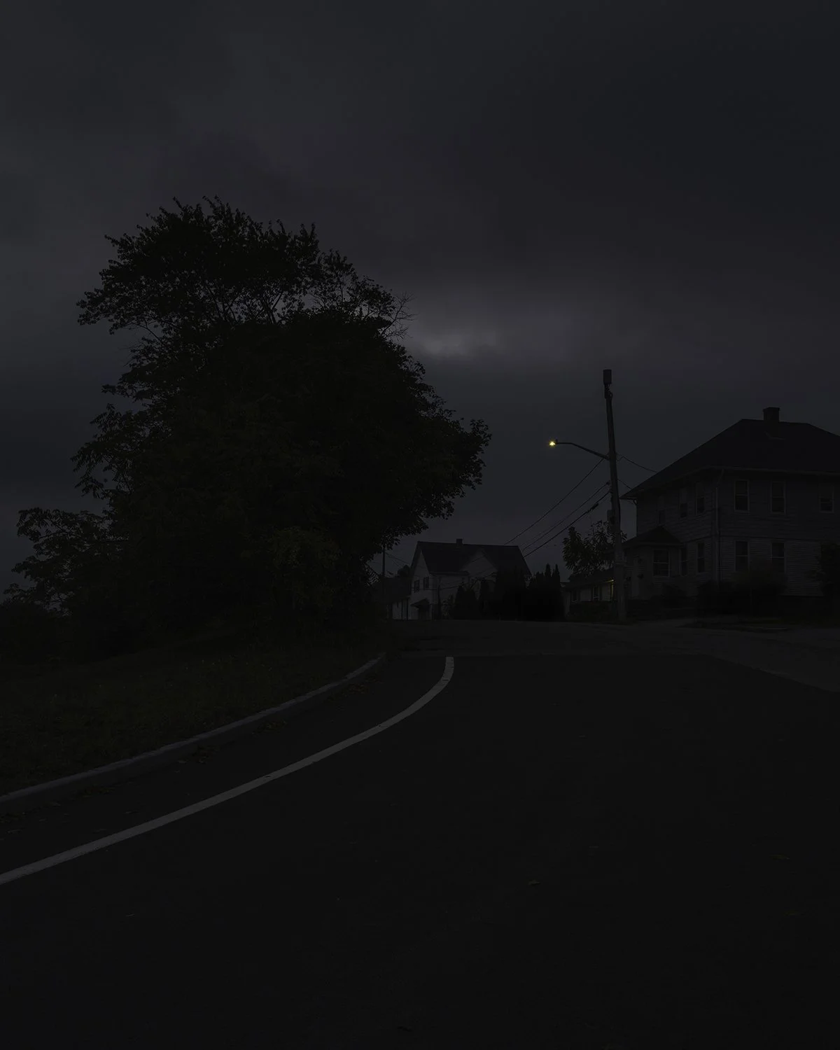 20251007 DSCF7178 1200 x 1500 crop.jpg