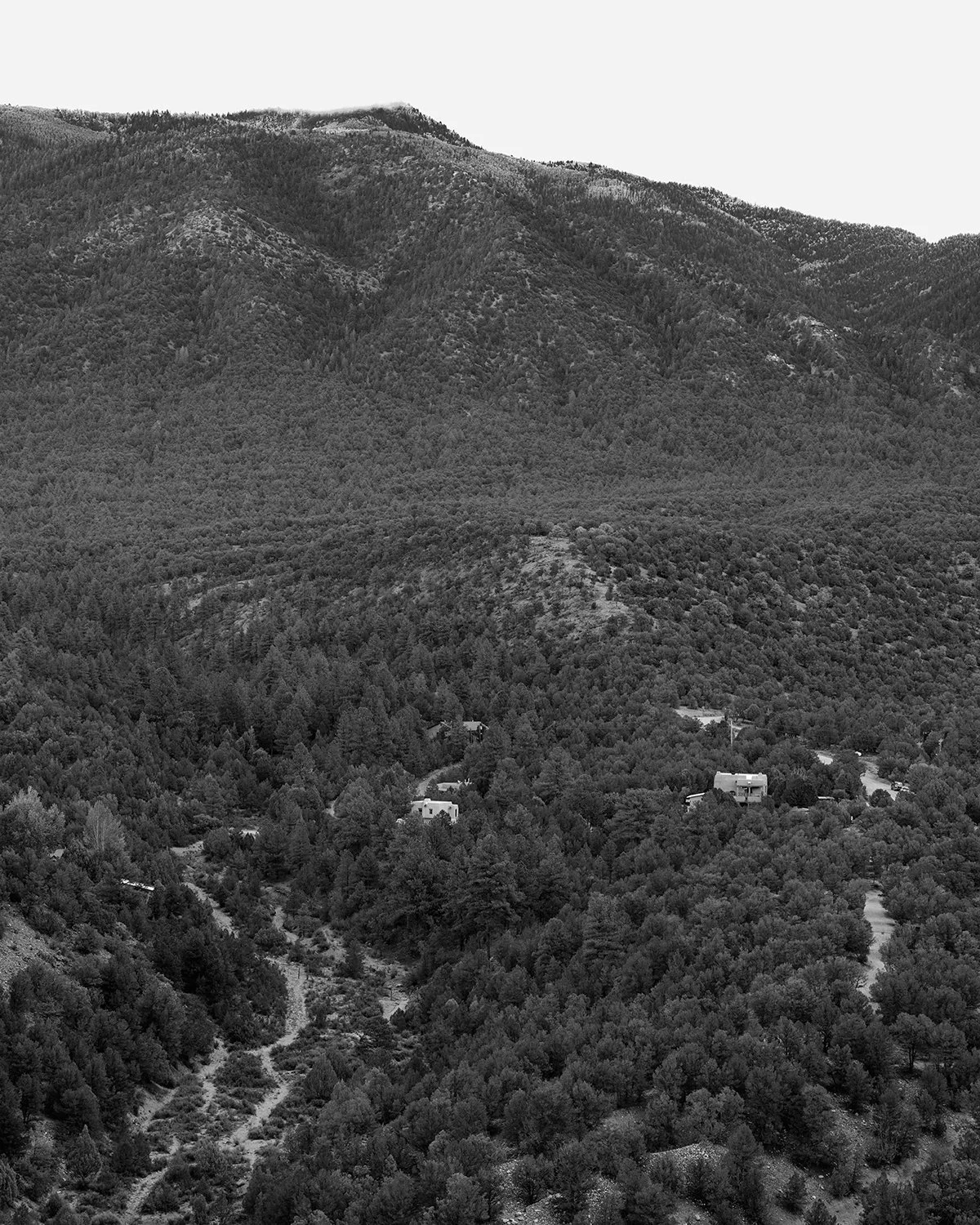 20261012 DSCF8810 bw 1200 x 1500.jpg