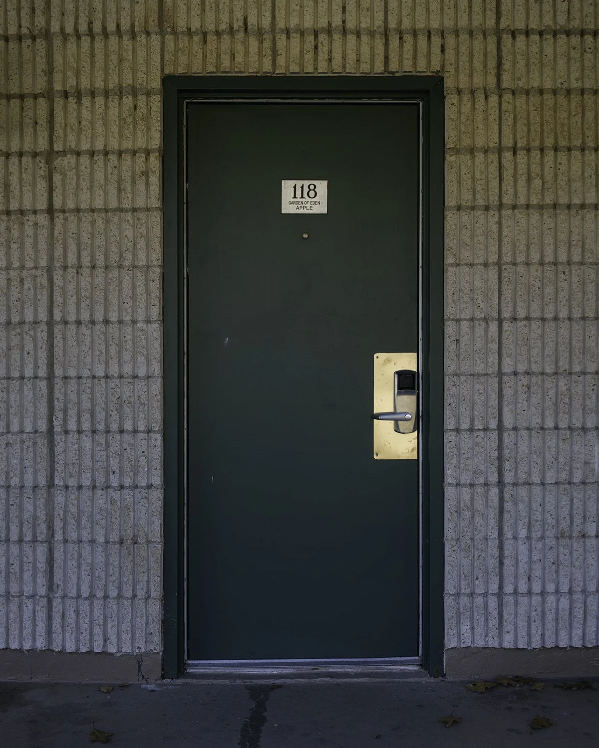 20251119 DSCF1977 1200 X 1500.jpg