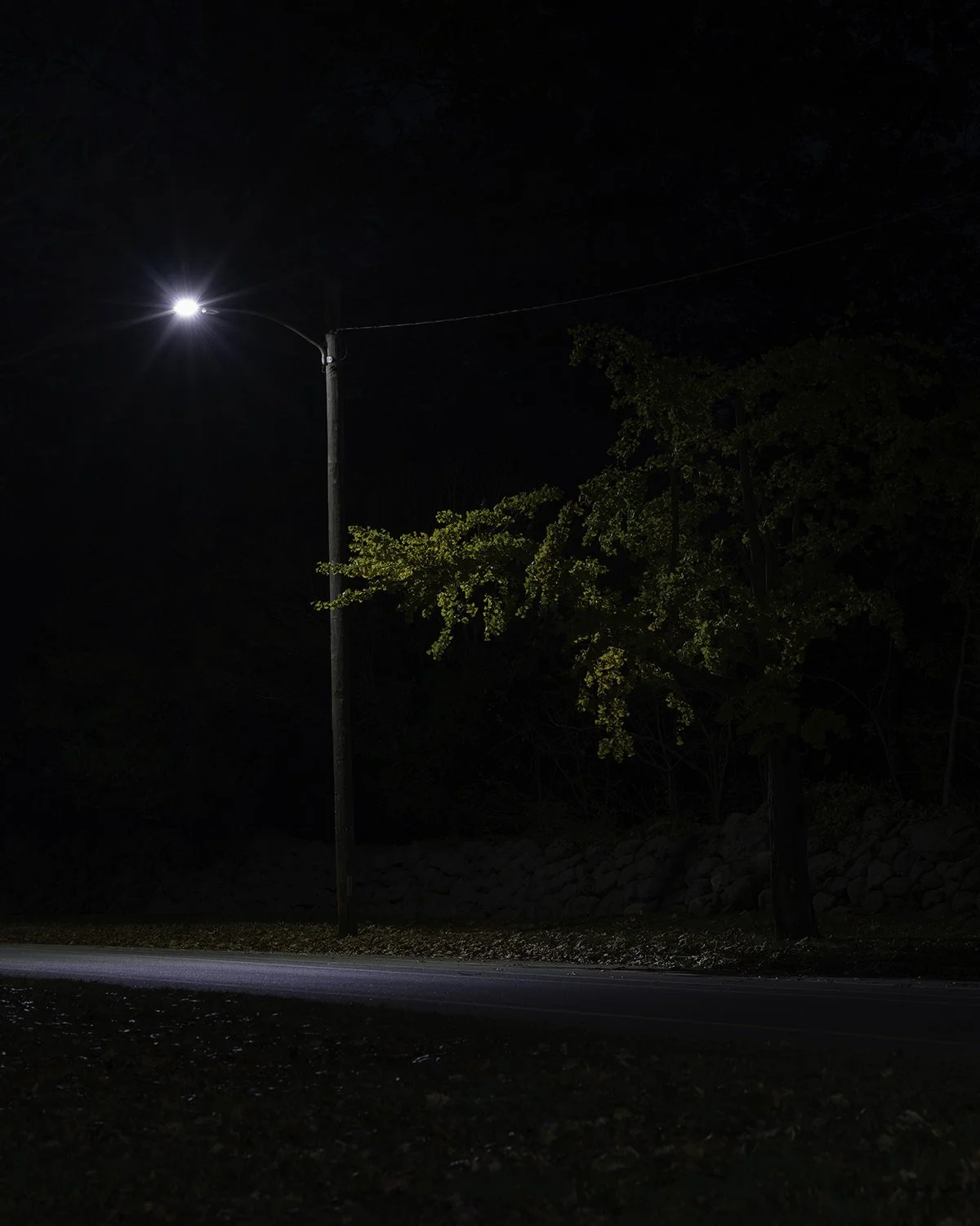 20251106 DSCF1273 1200 x 1500.jpg