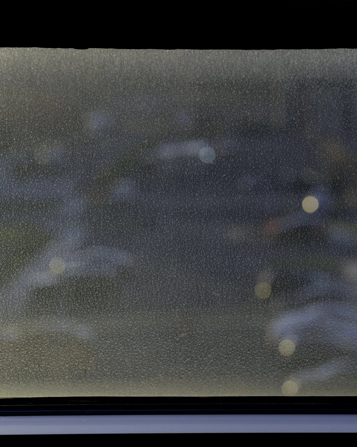 20260314 DSCF4544 1200 x 1500.jpg