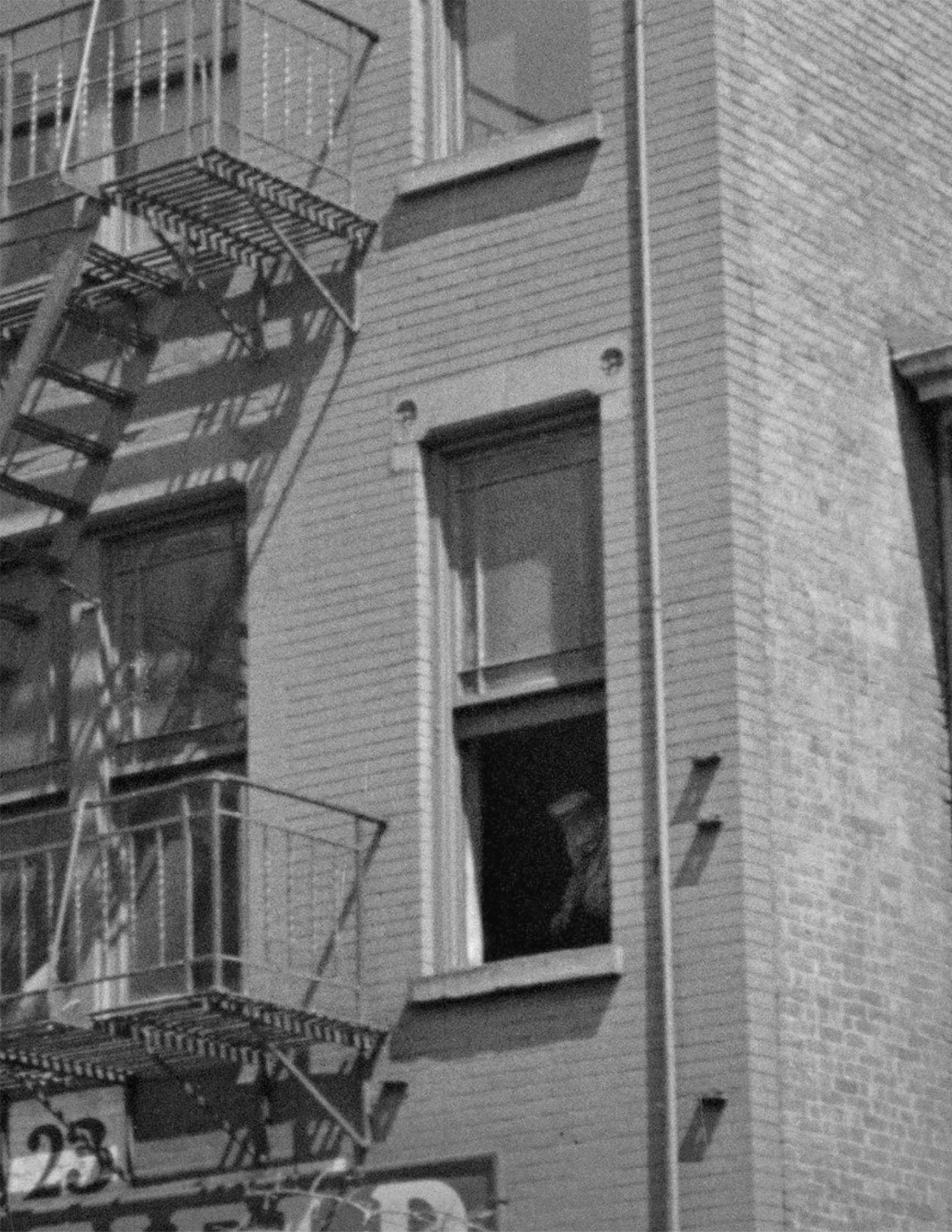 23 Cranberry Street Brooklyn 04 edit crop.jpg