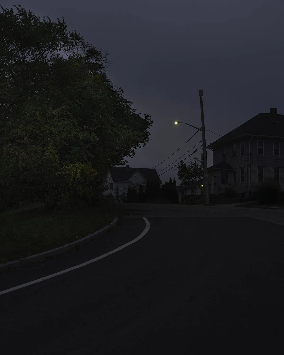 20251007 DSCF7165 1200 x 1500 crop.jpg