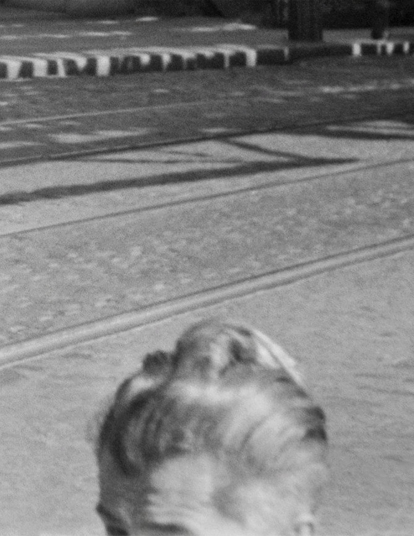 62 Fulton Street Brooklyn 04 crop 2.jpg