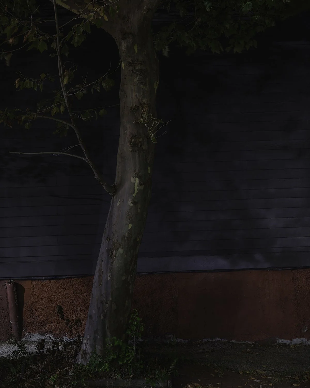 20250916 DSCF5982 1200 x 1500 crop.jpg