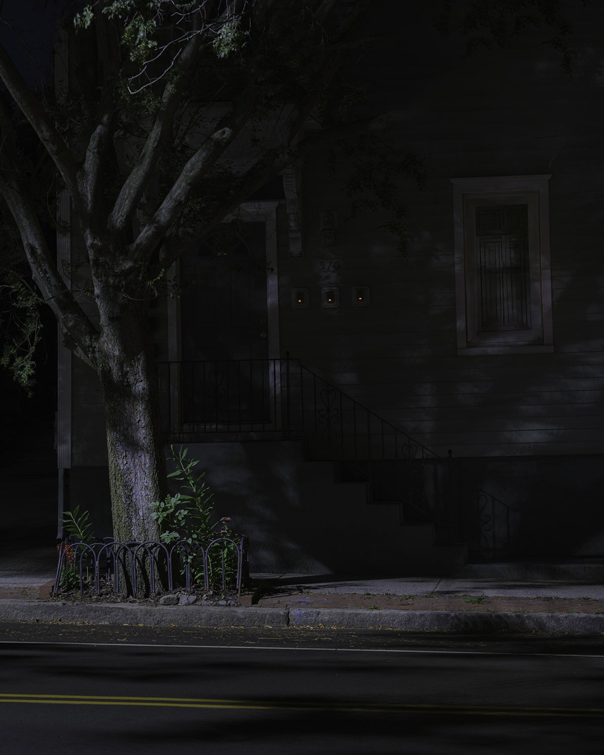 20250916 DSCF5969 1200 x 1500 crop.jpg