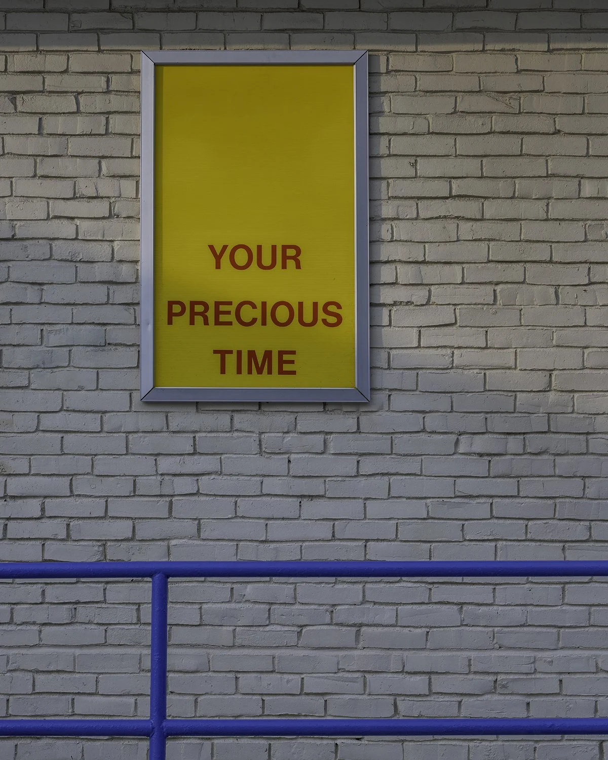 20250806 DSCF5566 1200 x 1500 crop.jpg