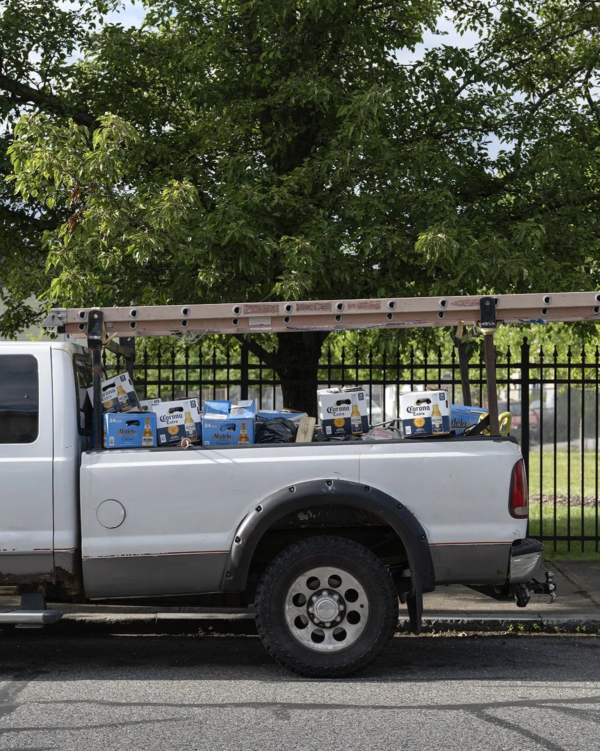 20250601 DSCF1347 1200 x 1500 crop.jpg