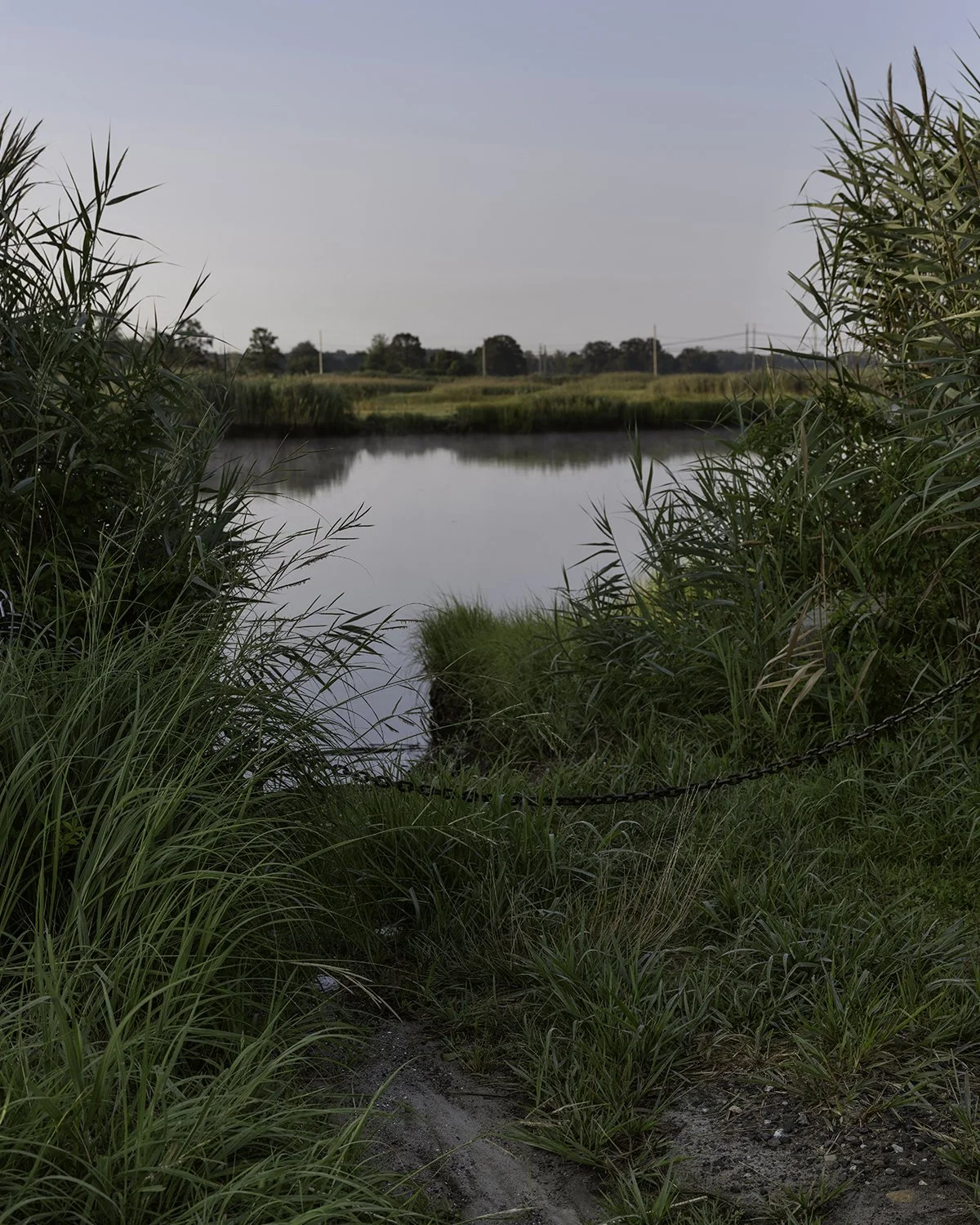 20250803 DSCF5166 1200 x 1500 crop.jpg