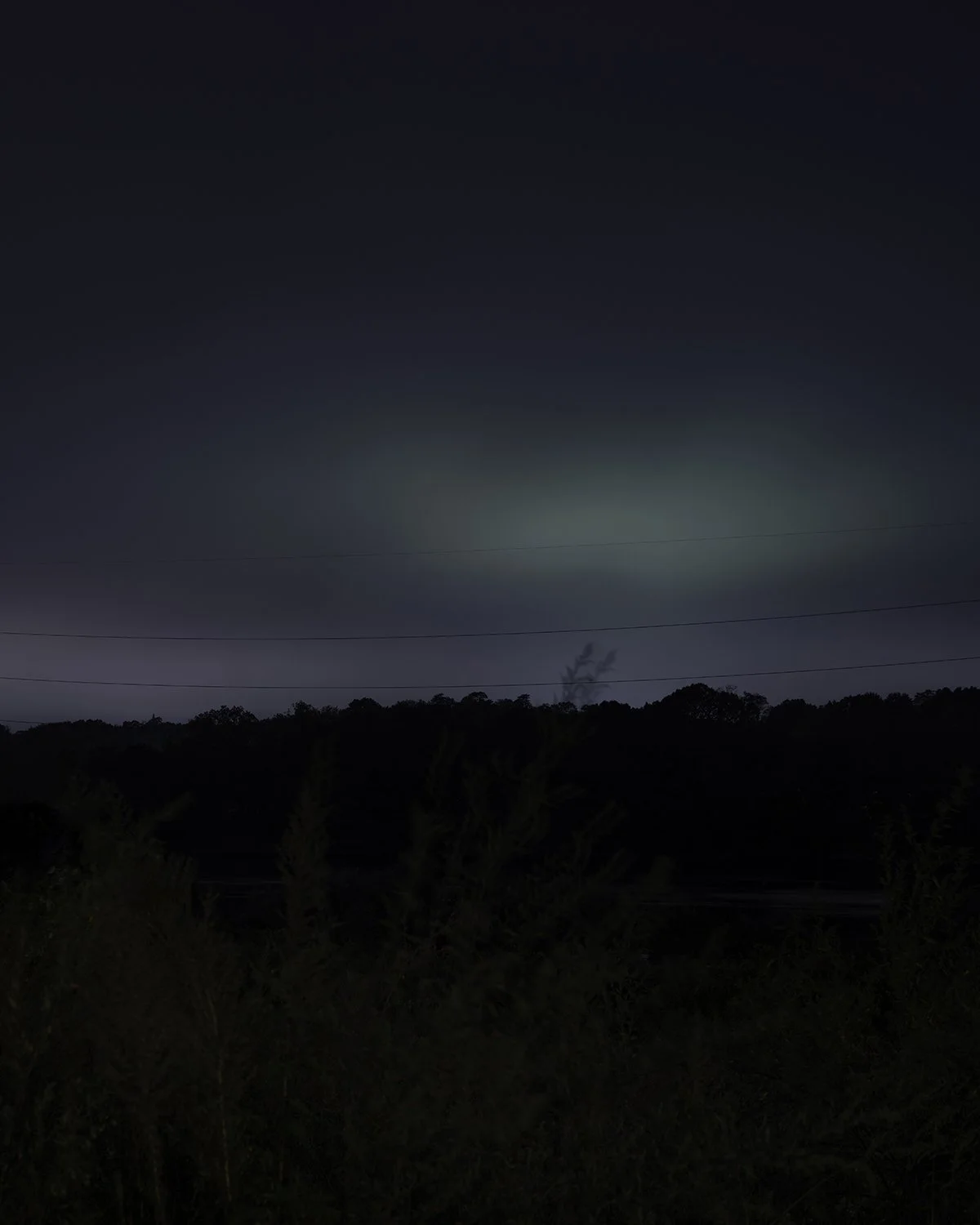 20251007 DSCF7134 1200 x 1500 crop.jpg