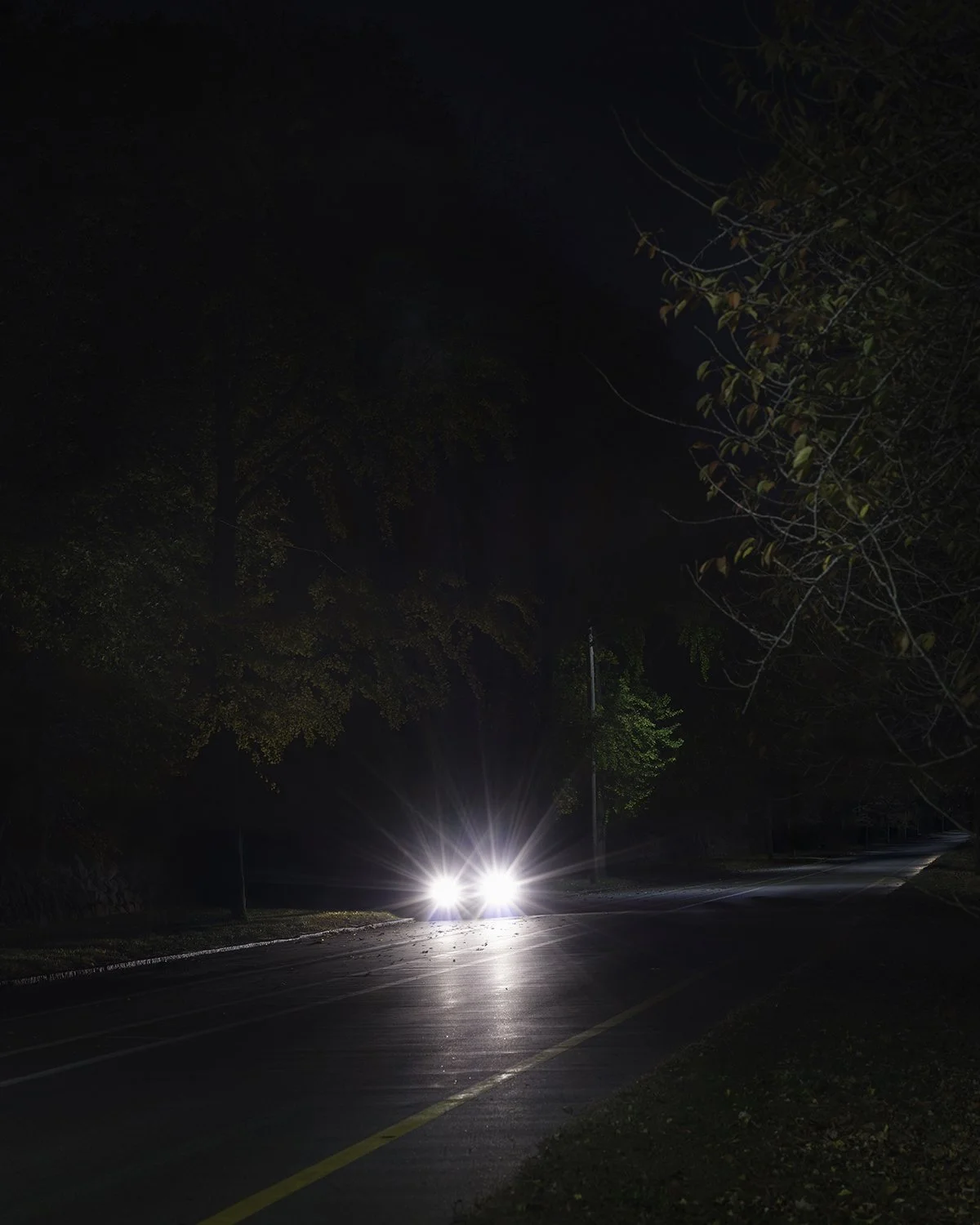 20251106 DSCF1340 1200 x 1500.jpg