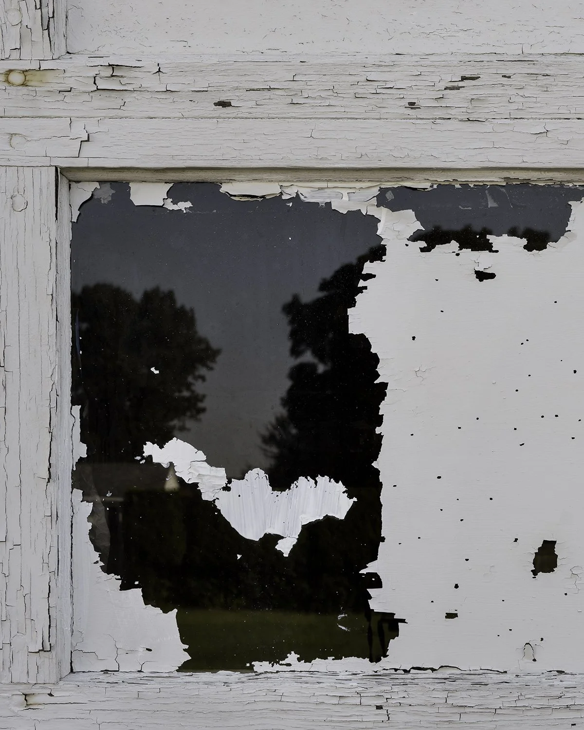 20250703 DSCF3222 1200 x 1500 crop.jpg