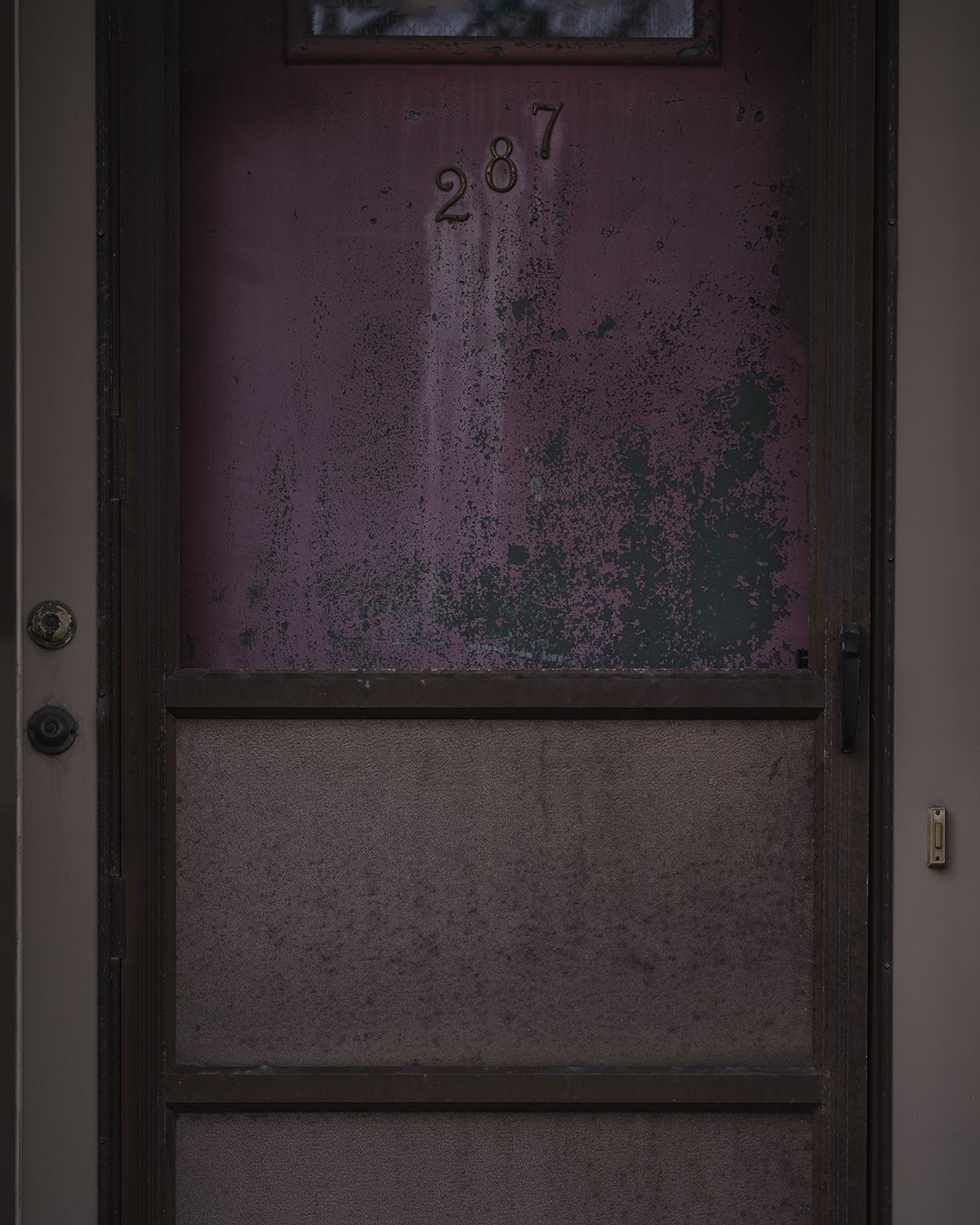 20260325 DSCF4654 200 x 1500.jpg