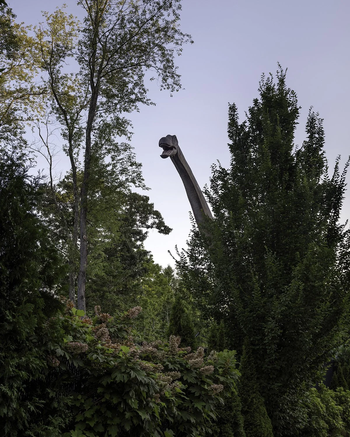 20250802 DSCF4875 1200 x 1500 crop.jpg