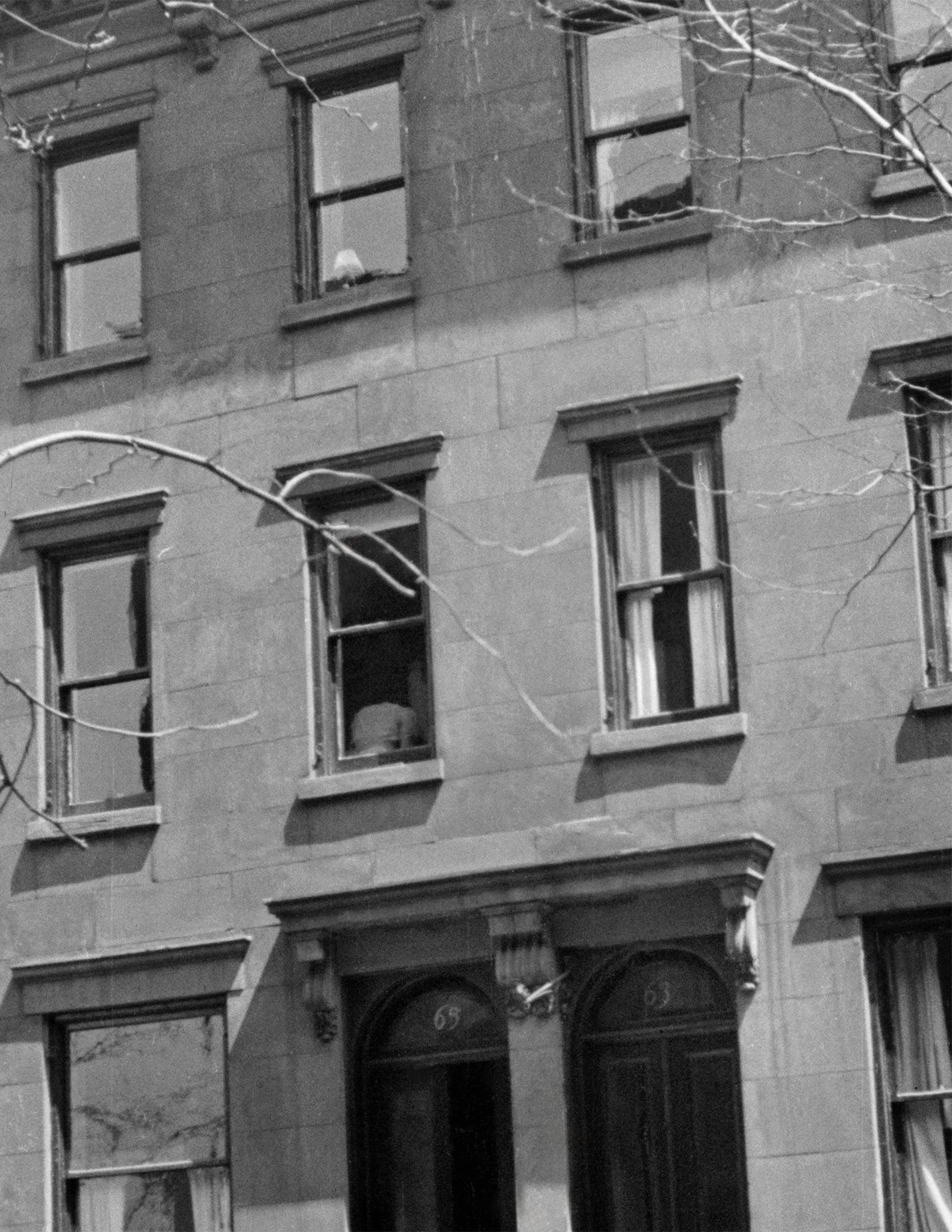63 Columbia Heights Brooklyn 02 crop.jpg