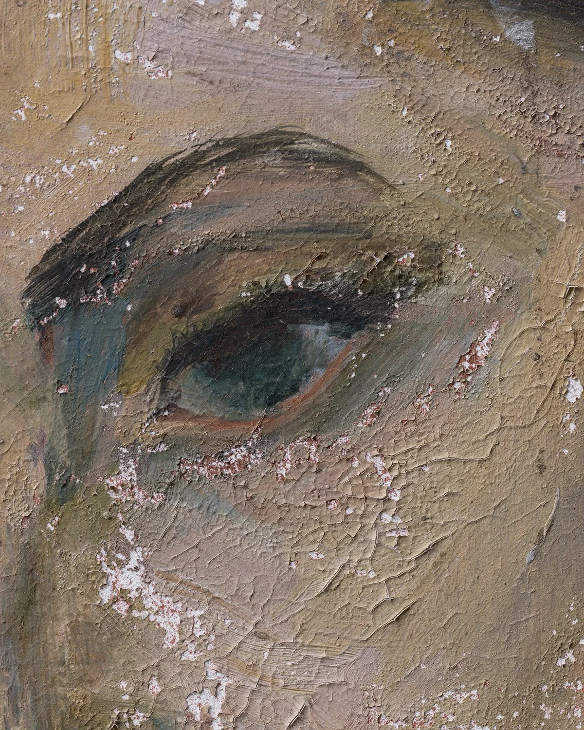 20251027 DSCF0633 eye 1200 x 1500.jpg