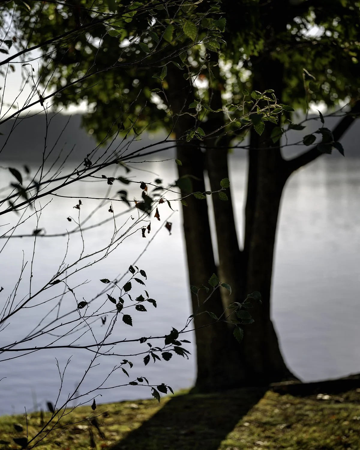 20250927 DSCF6291 1200 x 1500 crop.jpg