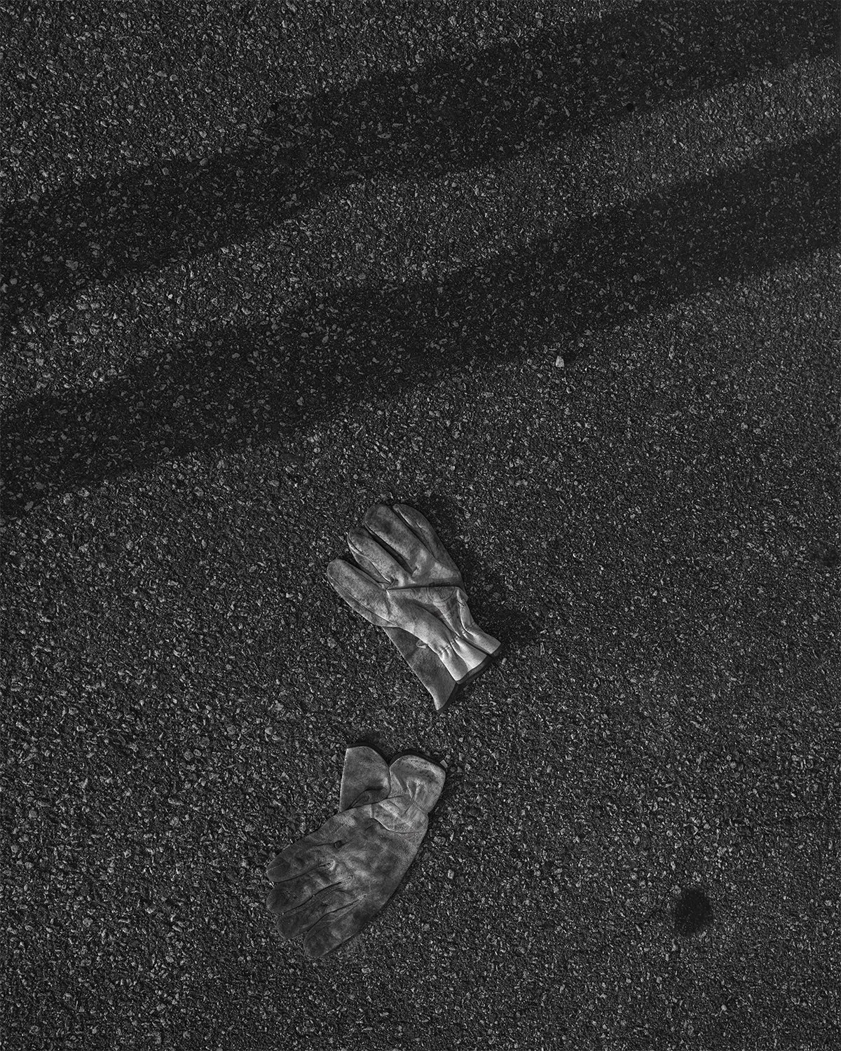 20260812 DSCF7994 bw 1200 x 1500.jpg