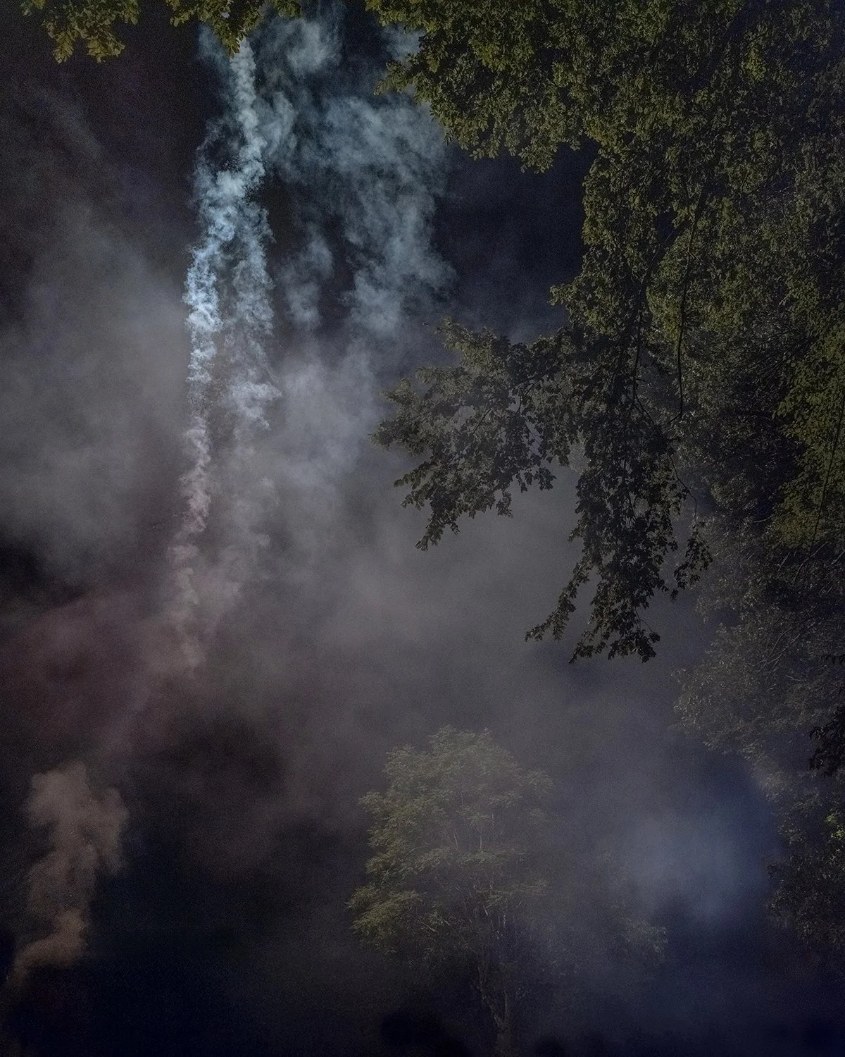 20250704 DSCF3646 1200 x 1500 crop.jpg