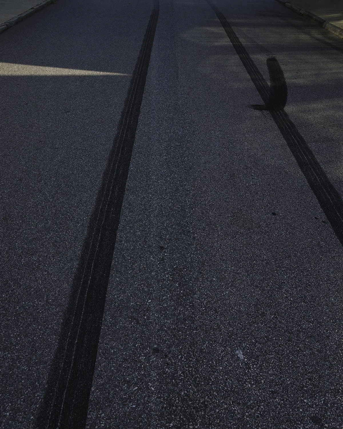 20250730 DSCF4619 1200 x 1500 crop.jpg