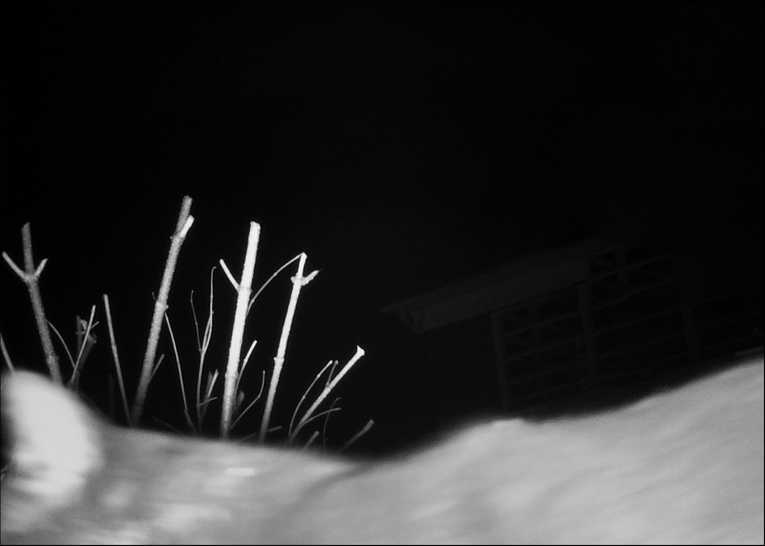 202603260014 crop.jpg