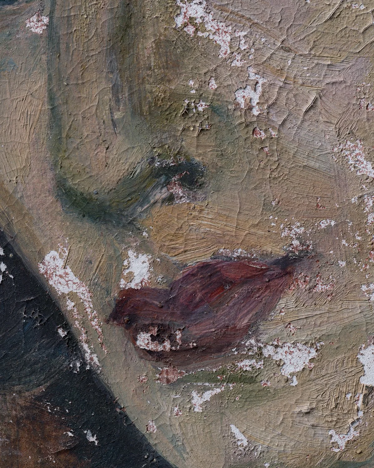 20251027 DSCF0633 lips 1200 x 1500.jpg