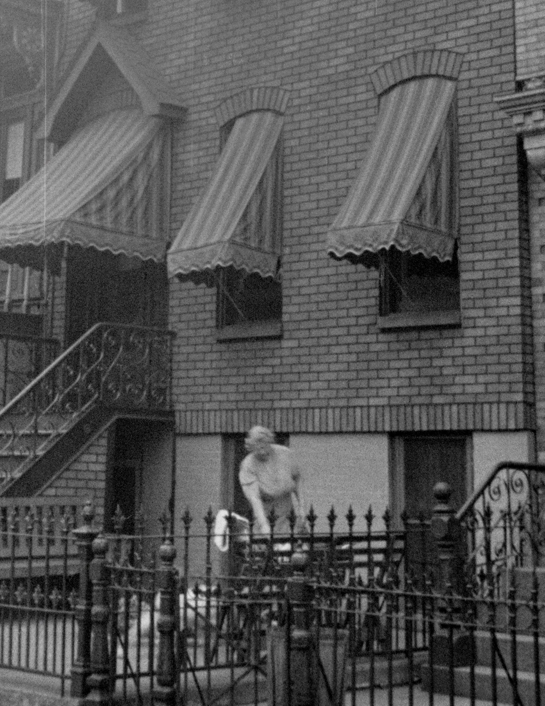 442 Harman Street Brooklyn 05 edit crop.jpg