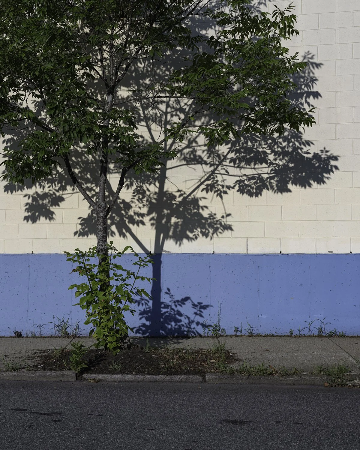 20250730 DSCF4581 1200 x 1500 crop.jpg