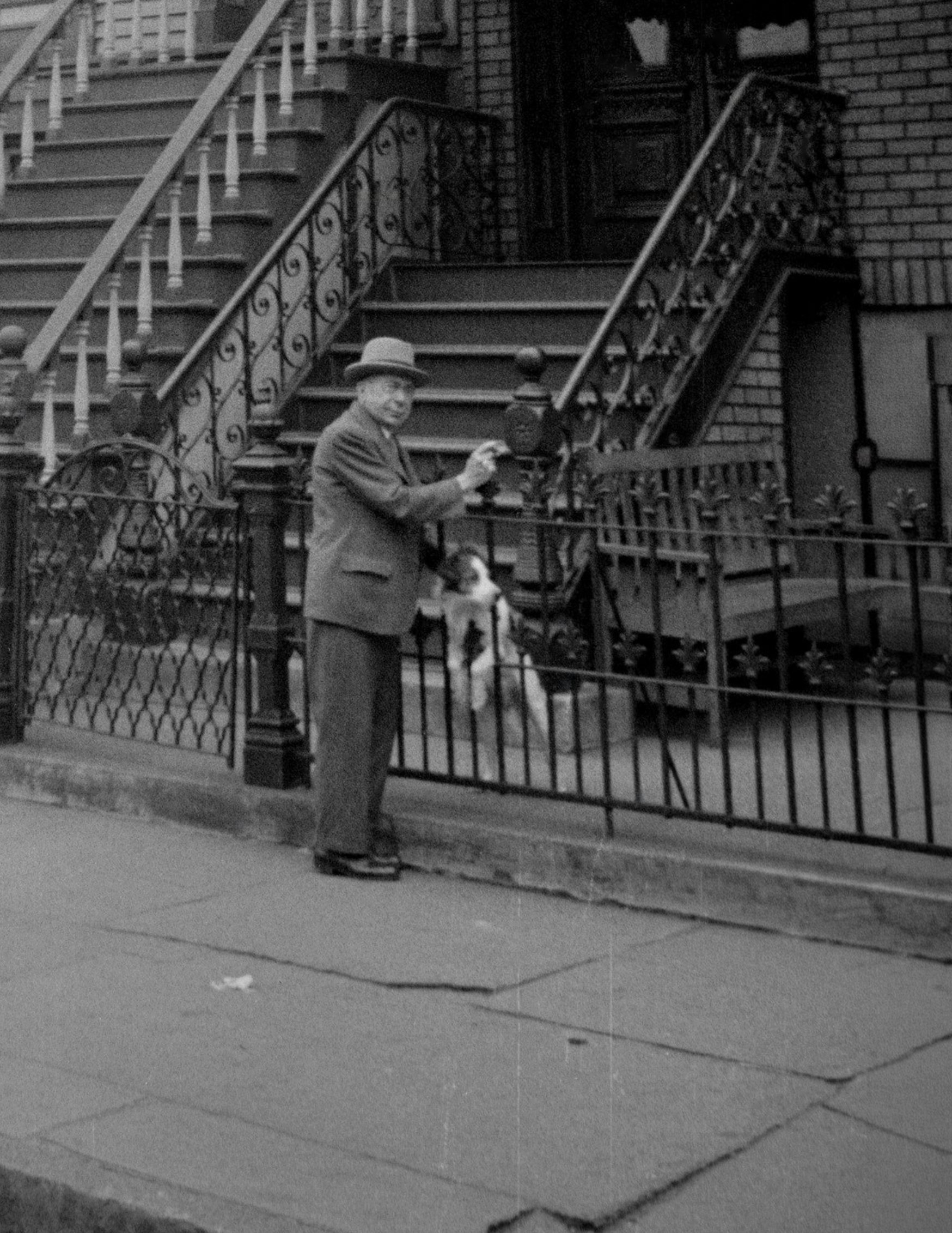 444 Harman Street Brooklyn 03 edit crop.jpg