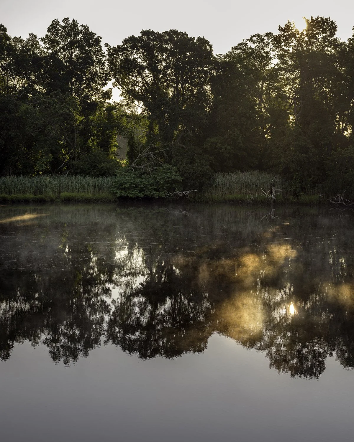 20250803 DSCF5186 1200 x 1500 crop.jpg