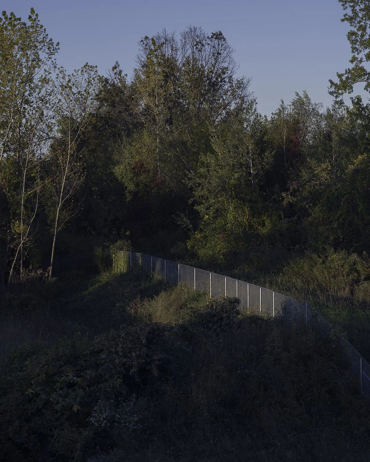 20251009 DSCF7274 1200 x 1500 crop.jpg