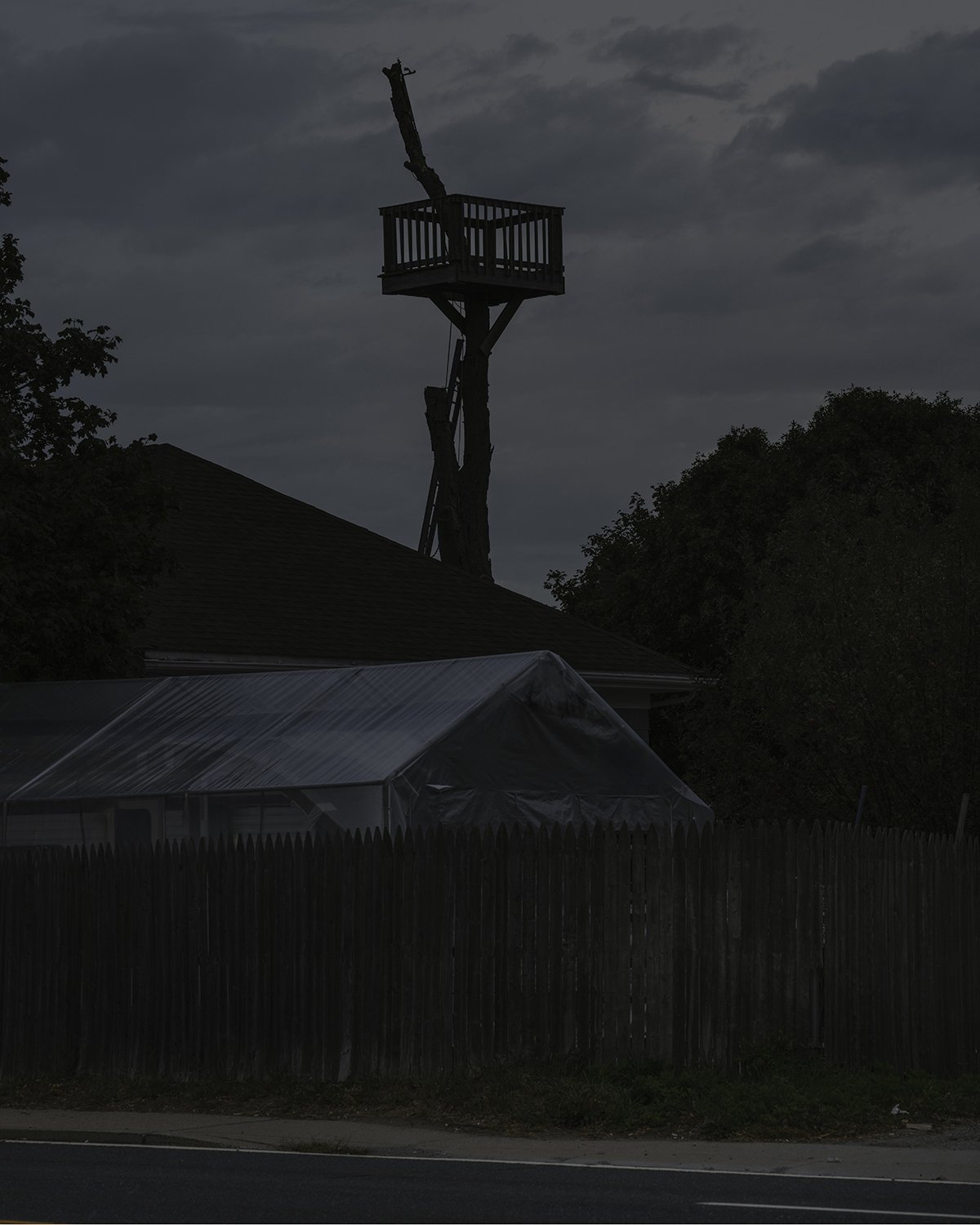 20251012 DSCF0066 1200 x 1500 crop.jpg