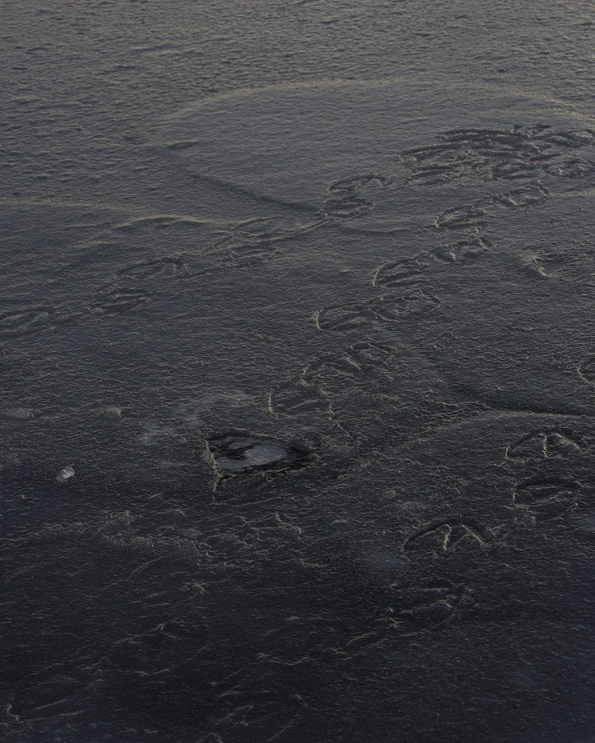 20260213 DSCF3490 1200 x 1500.jpg