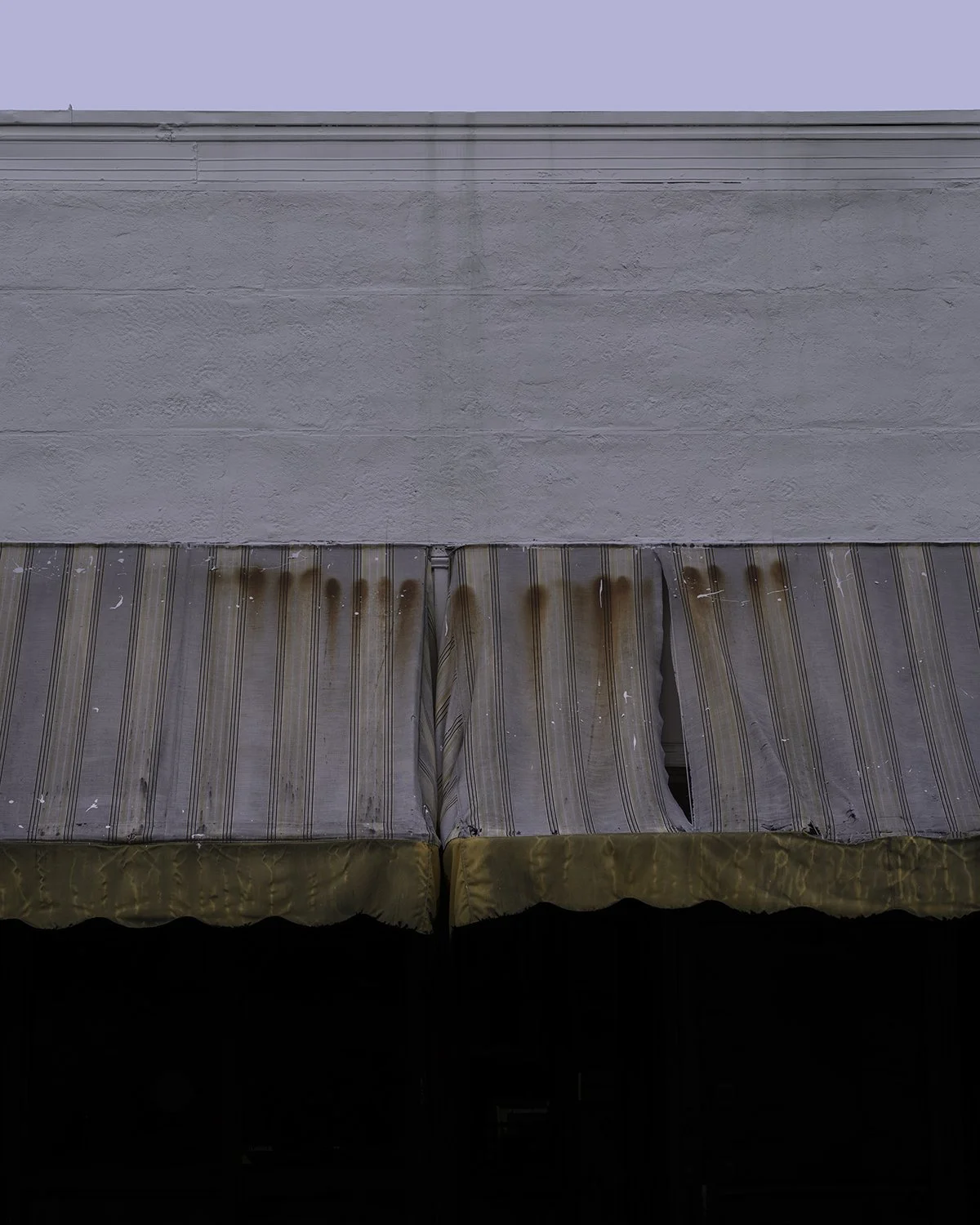 20260325 DSCF4620 Edit  1200 x 1500.jpg