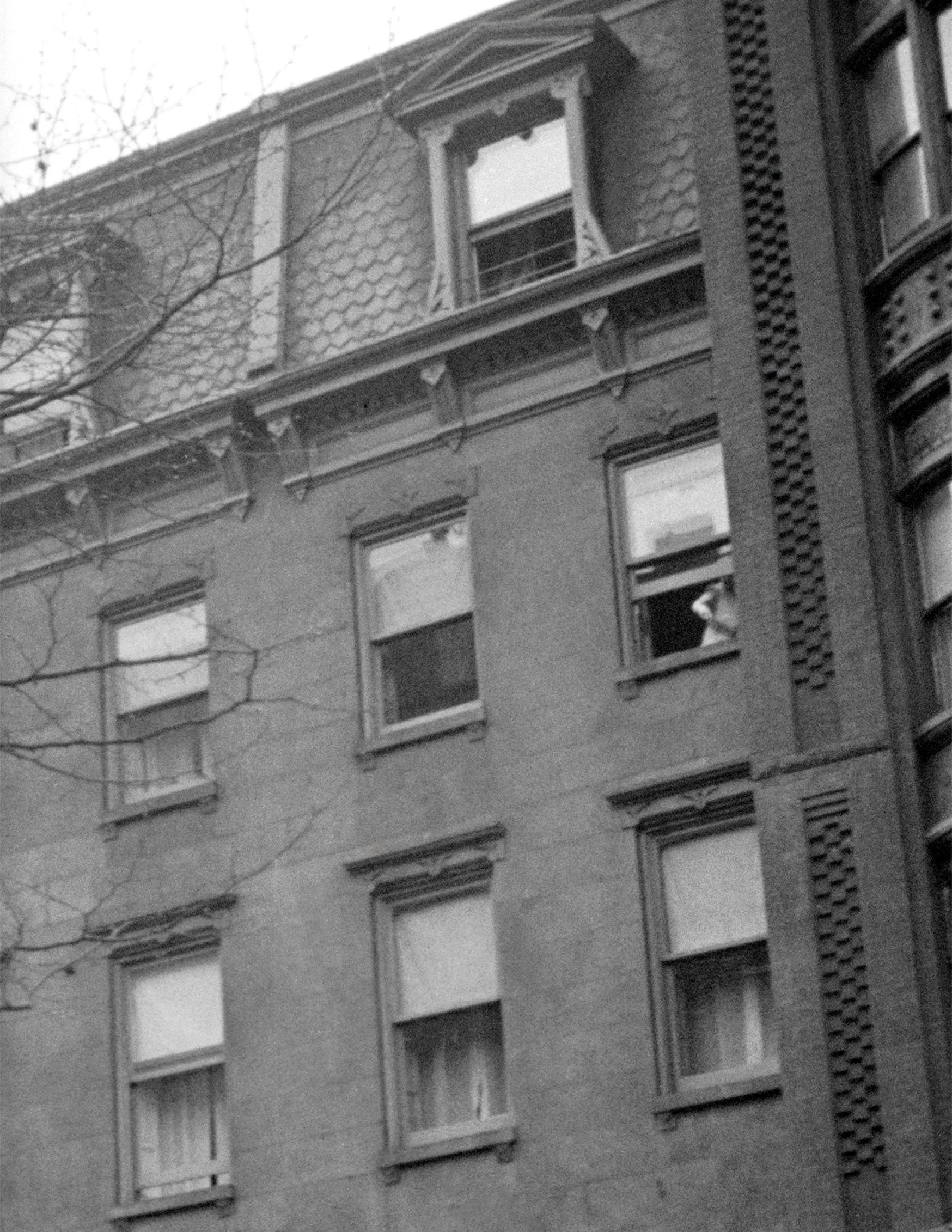 147 Willow Street Brooklyn 02 crop.jpg