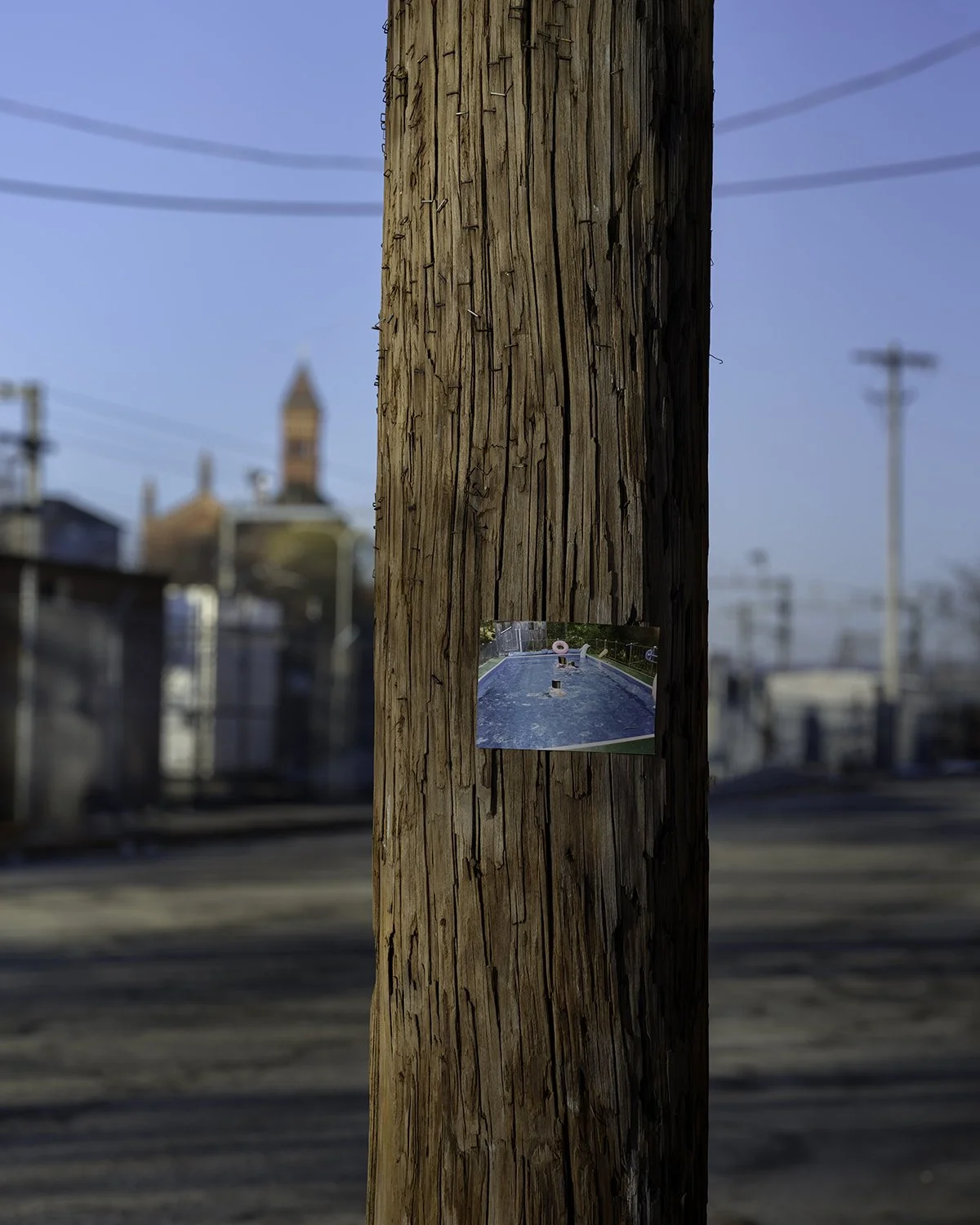 20260310 DSCF4075 1200 x 1500.jpg